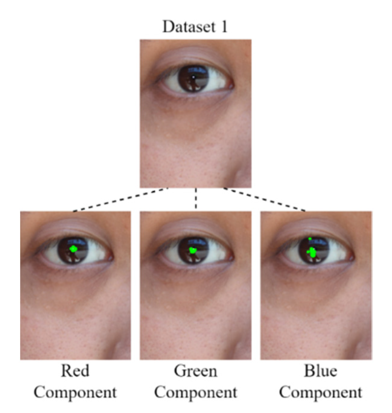 Healthcare 10 00789 g022