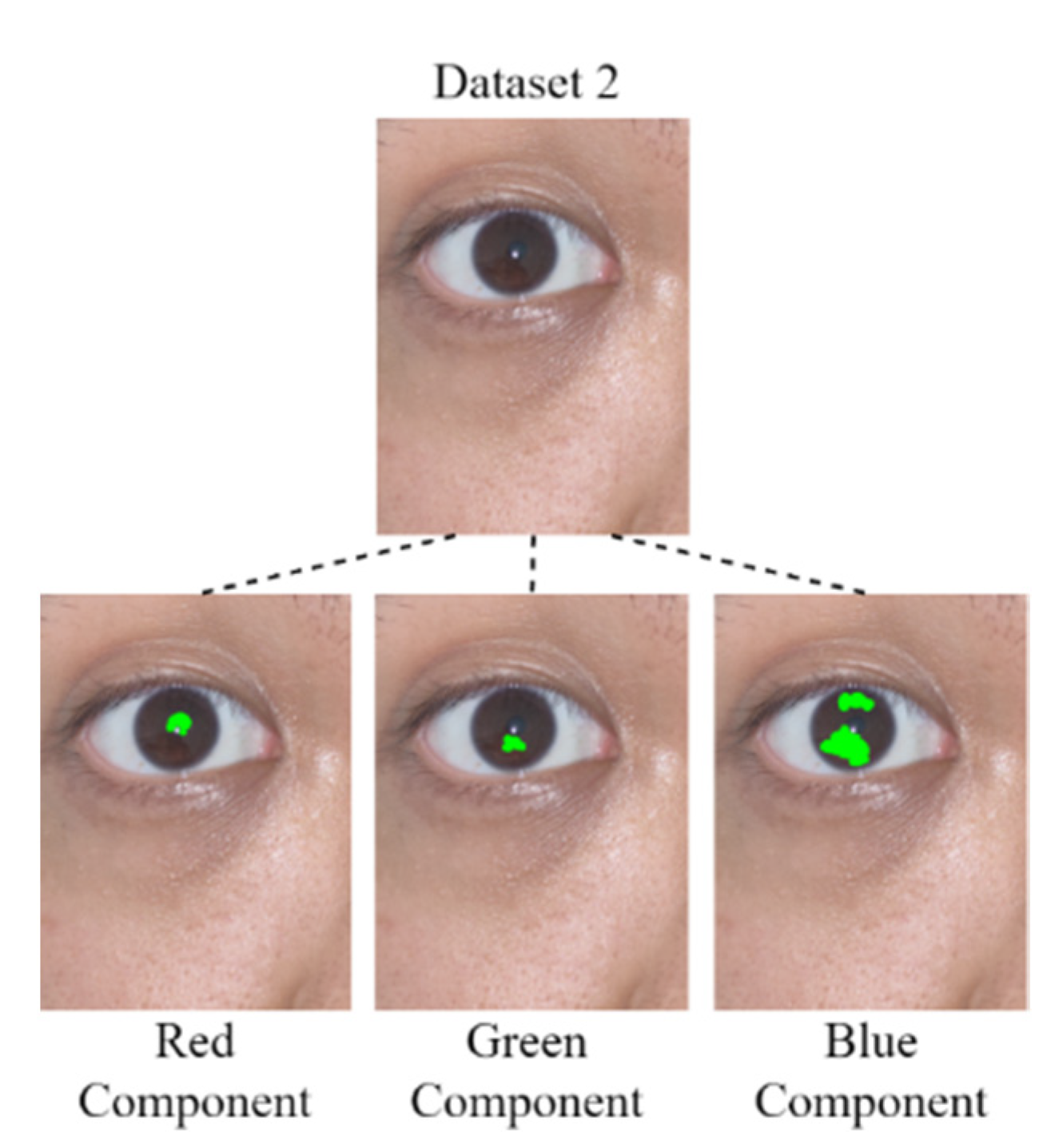 Healthcare 10 00789 g023