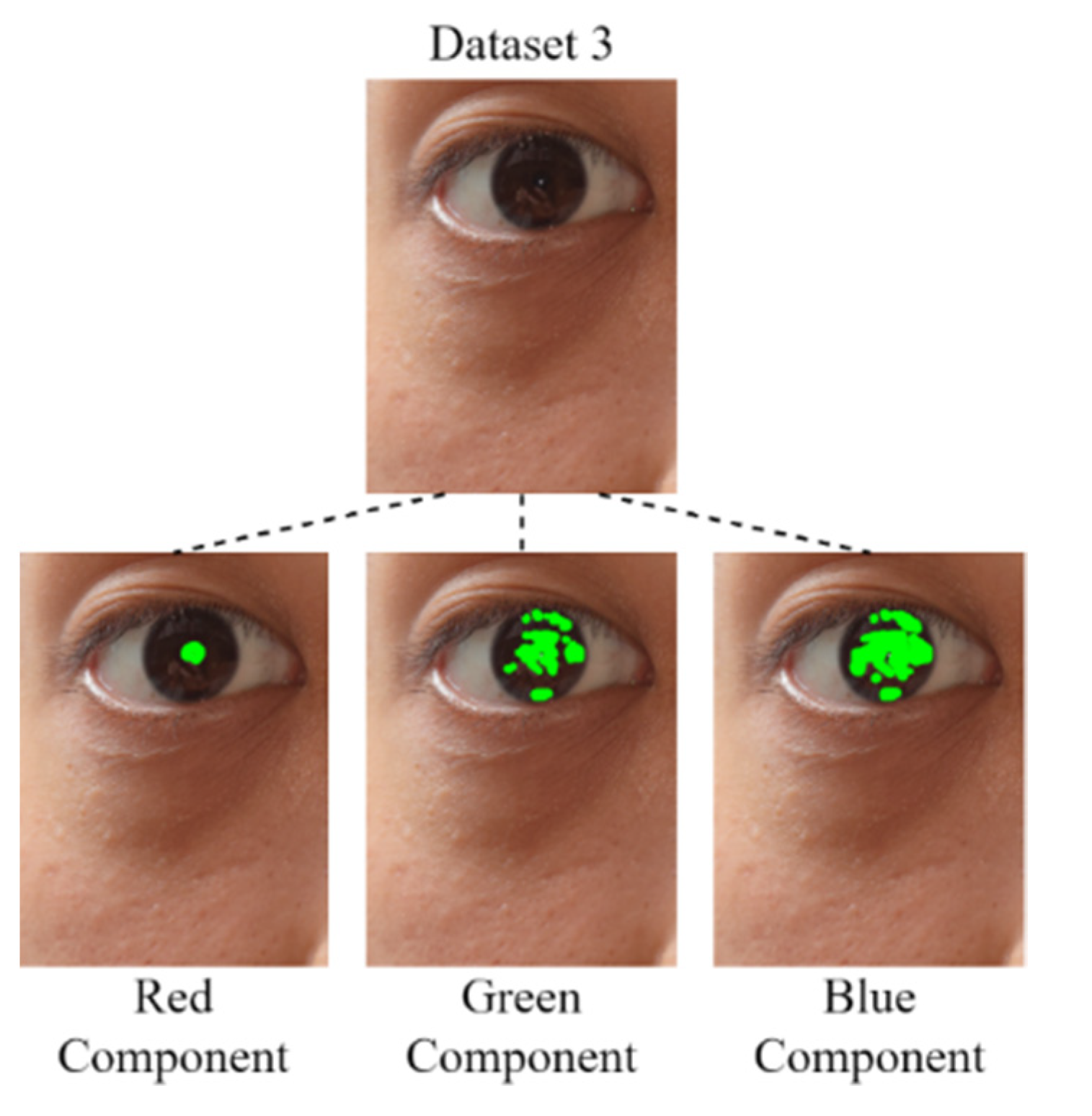 Healthcare 10 00789 g024