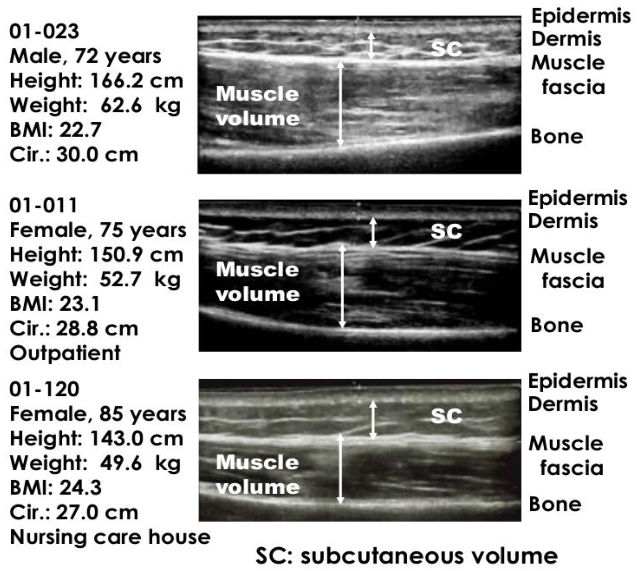 Healthcare 10 00800 g001 Healthcare 10 00800 g001