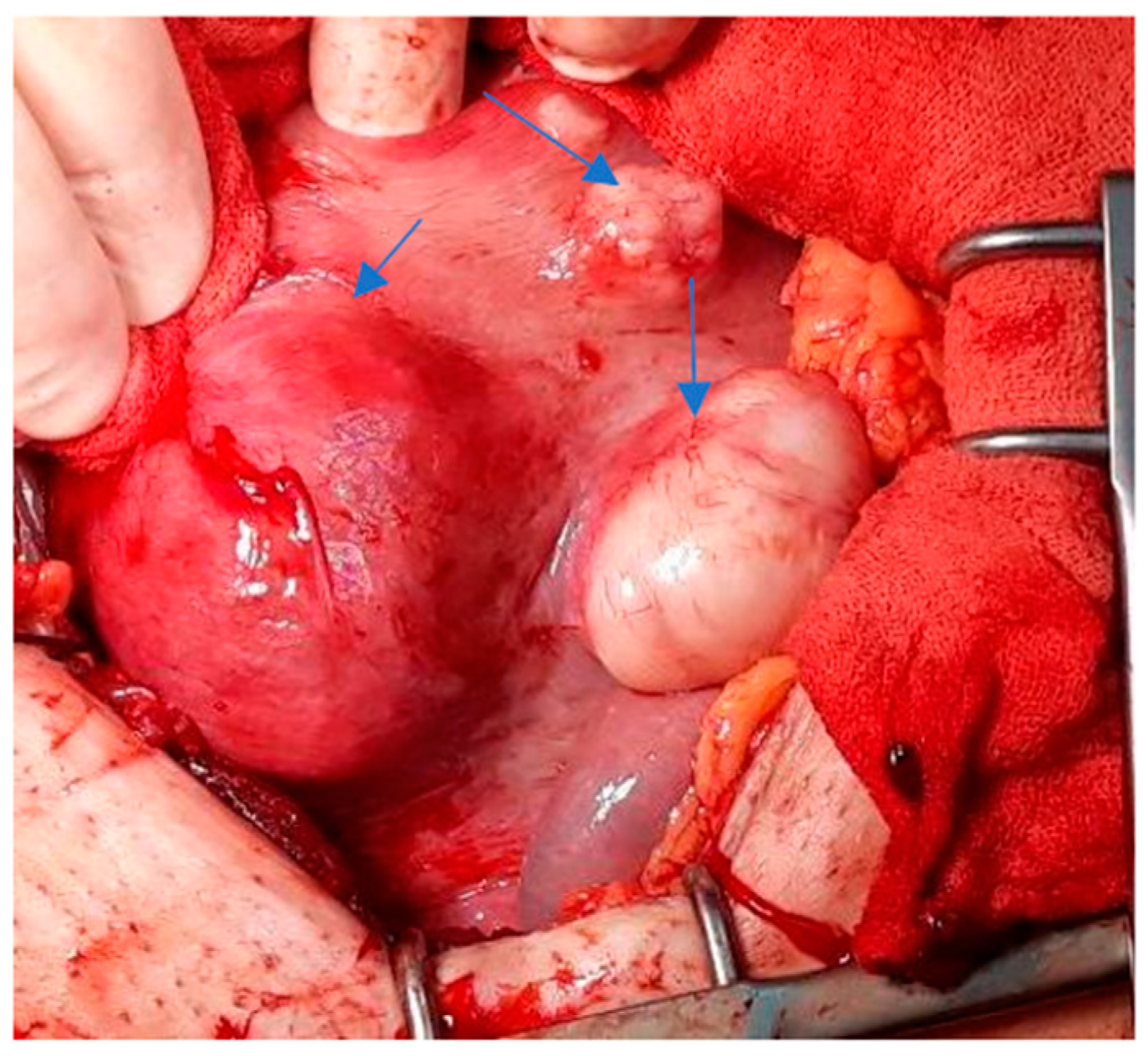 Healthcare 10 00855 g002