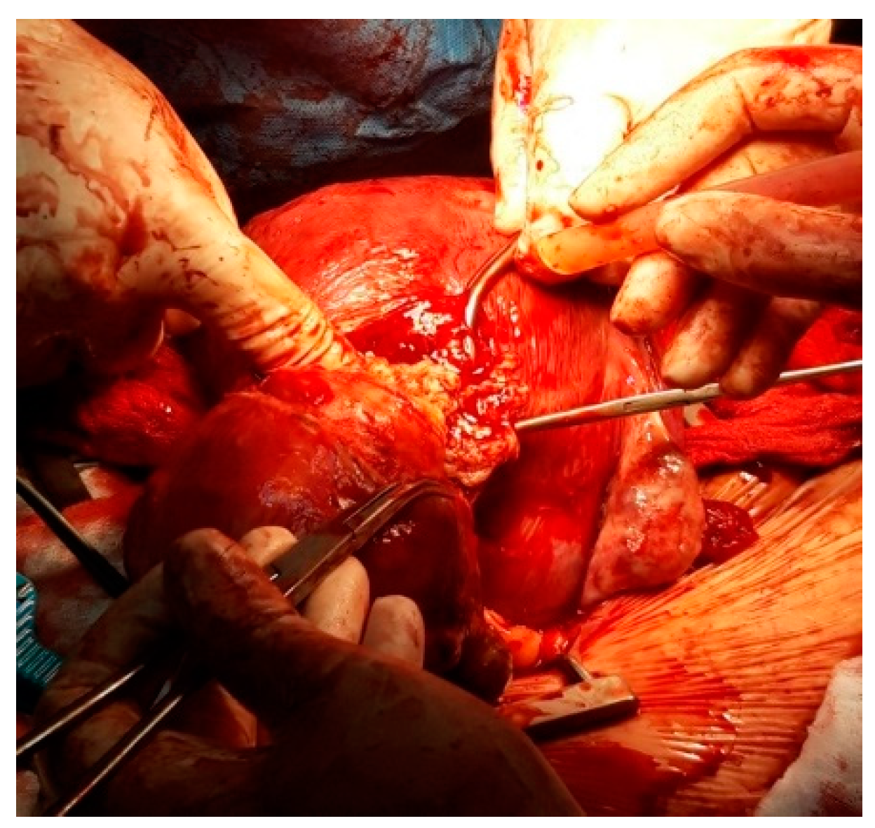 Healthcare 10 00855 g012