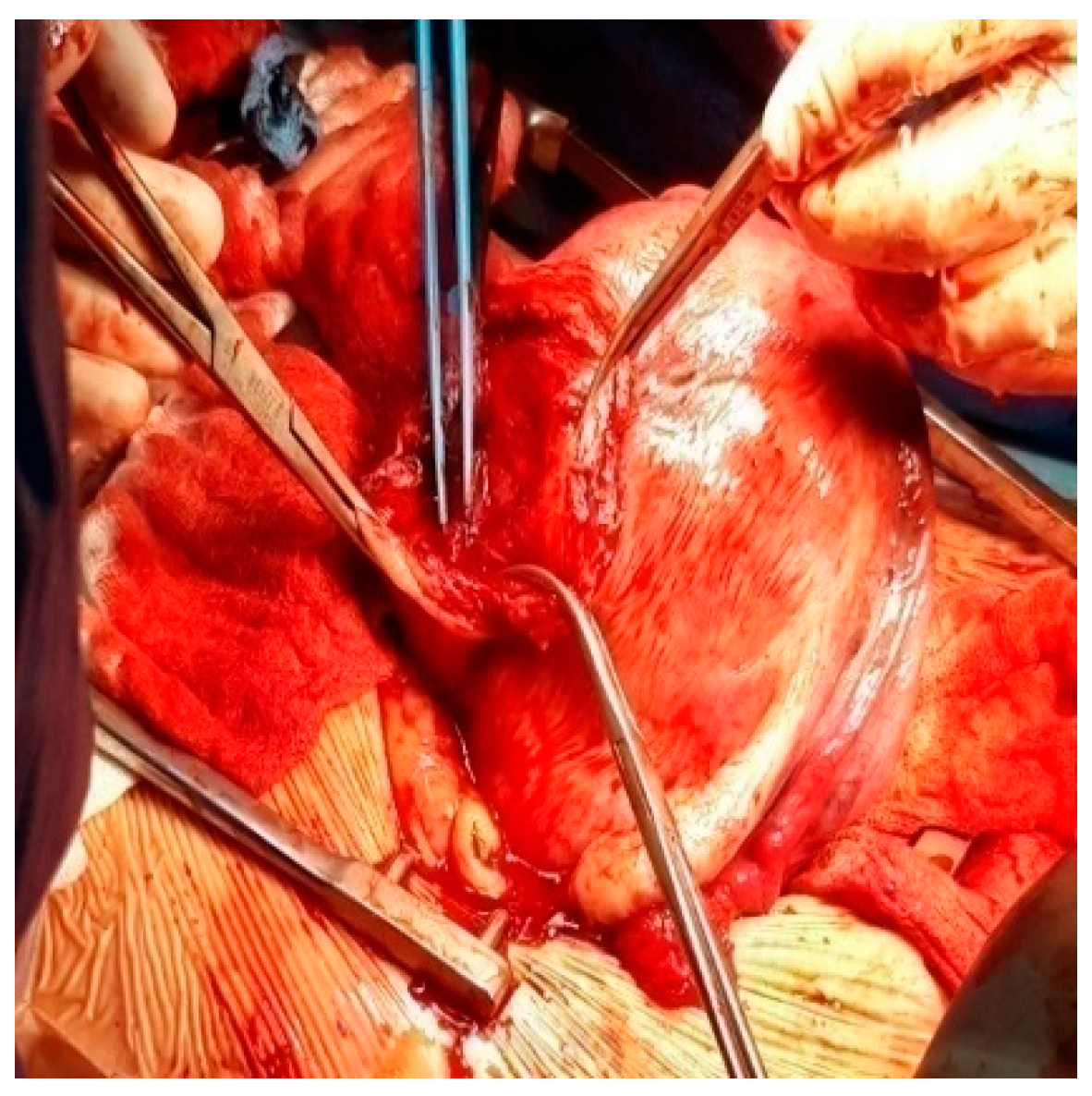 Healthcare 10 00855 g013