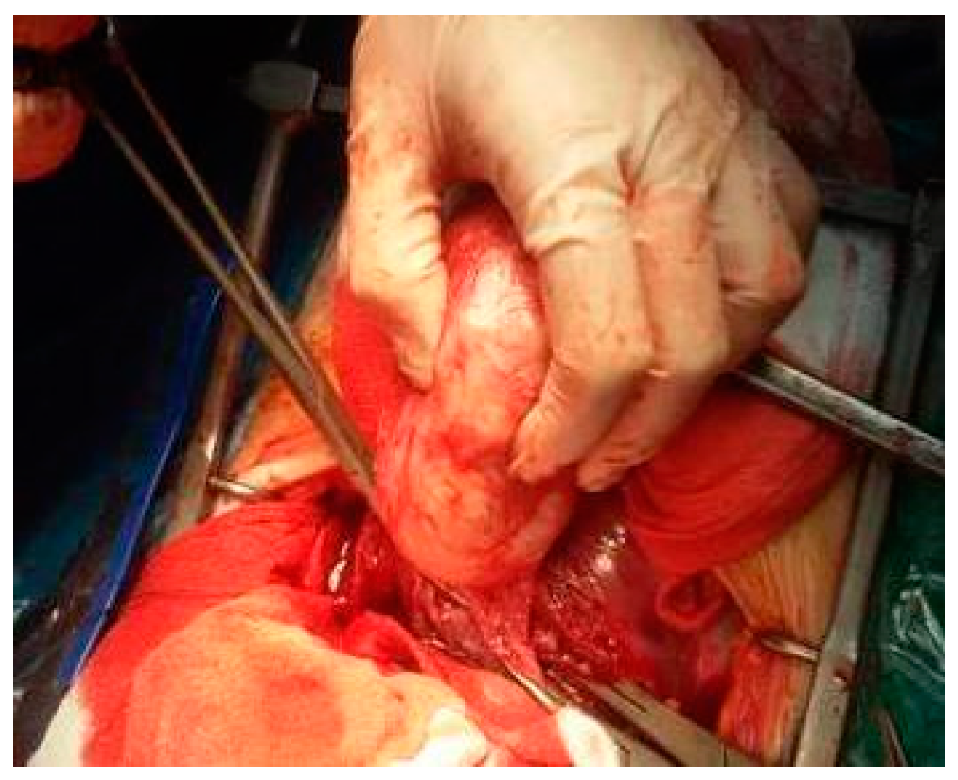 Healthcare 10 00855 g015