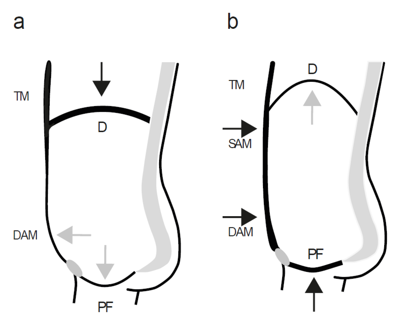 Healthcare 10 01035 g002