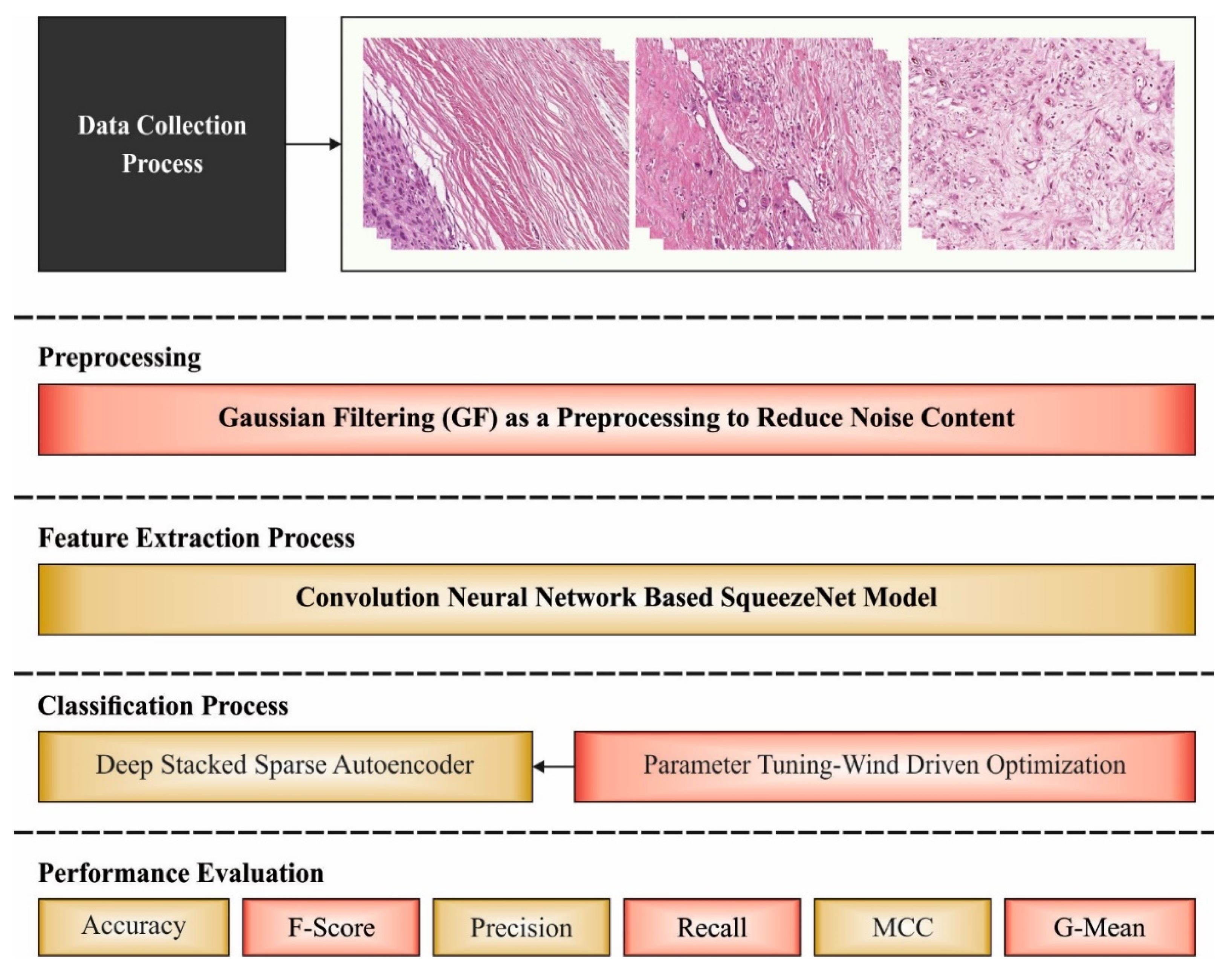 Healthcare 10 01040 g001 550