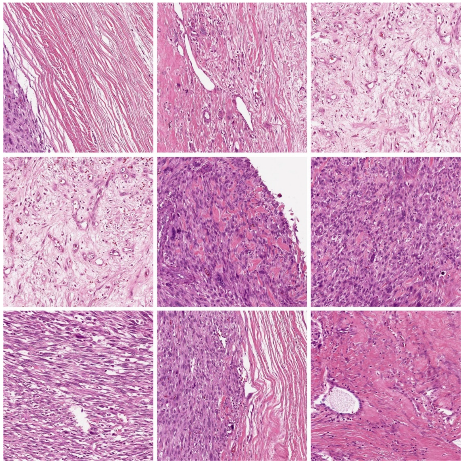 Healthcare 10 01040 g003 550