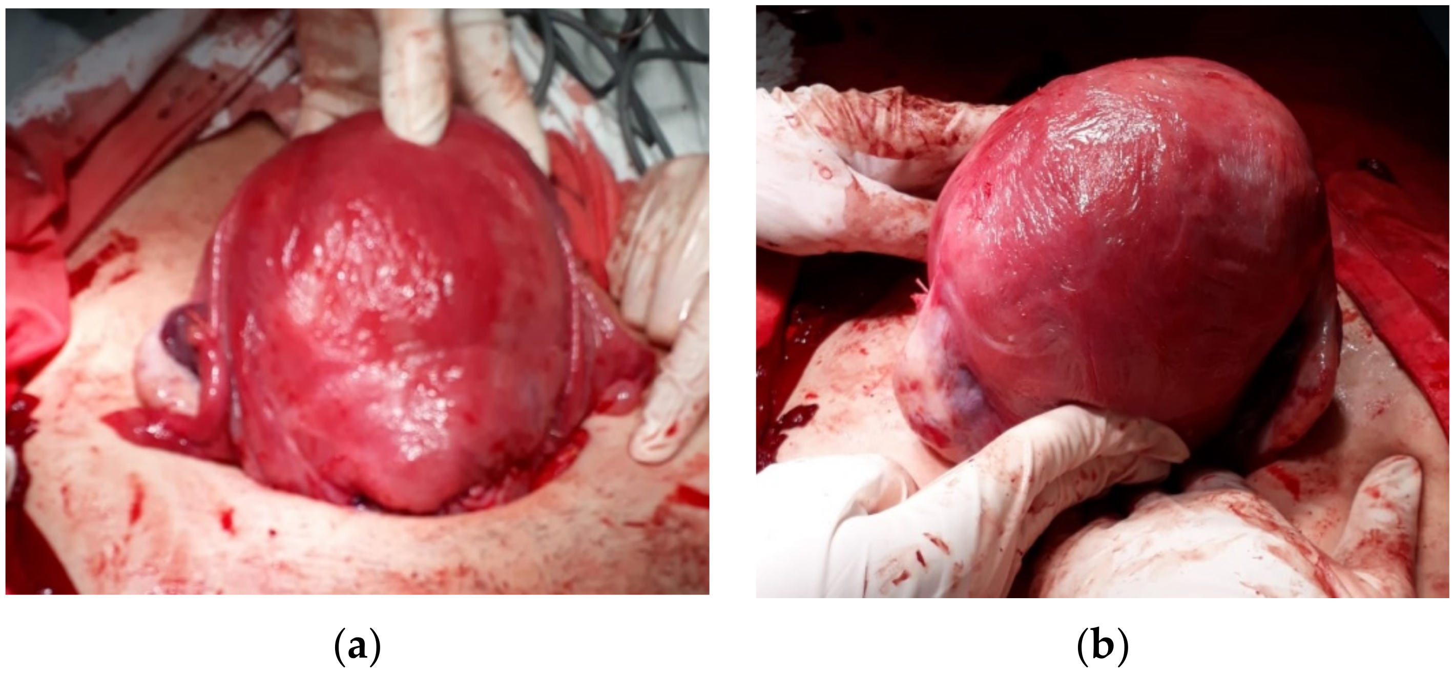 Healthcare 10 01060 g002 550