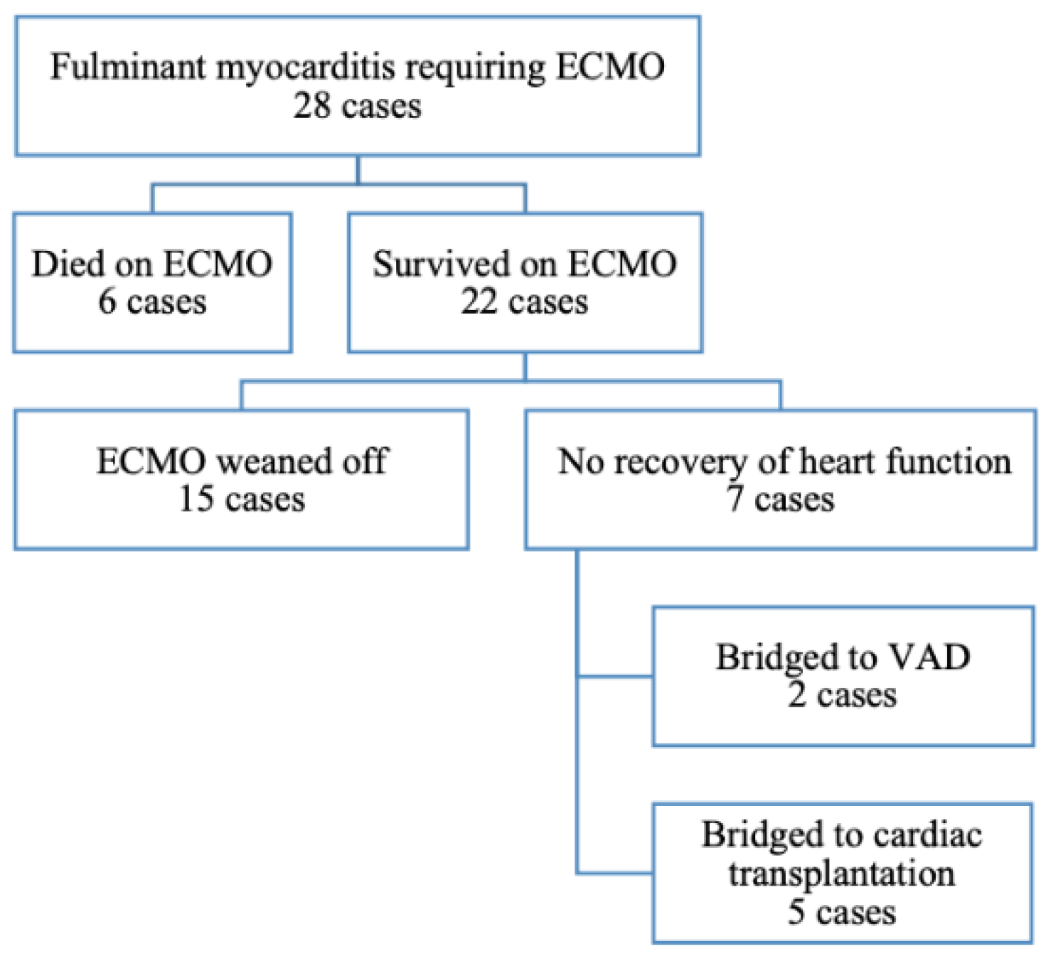 Healthcare 10 01063 g001 550