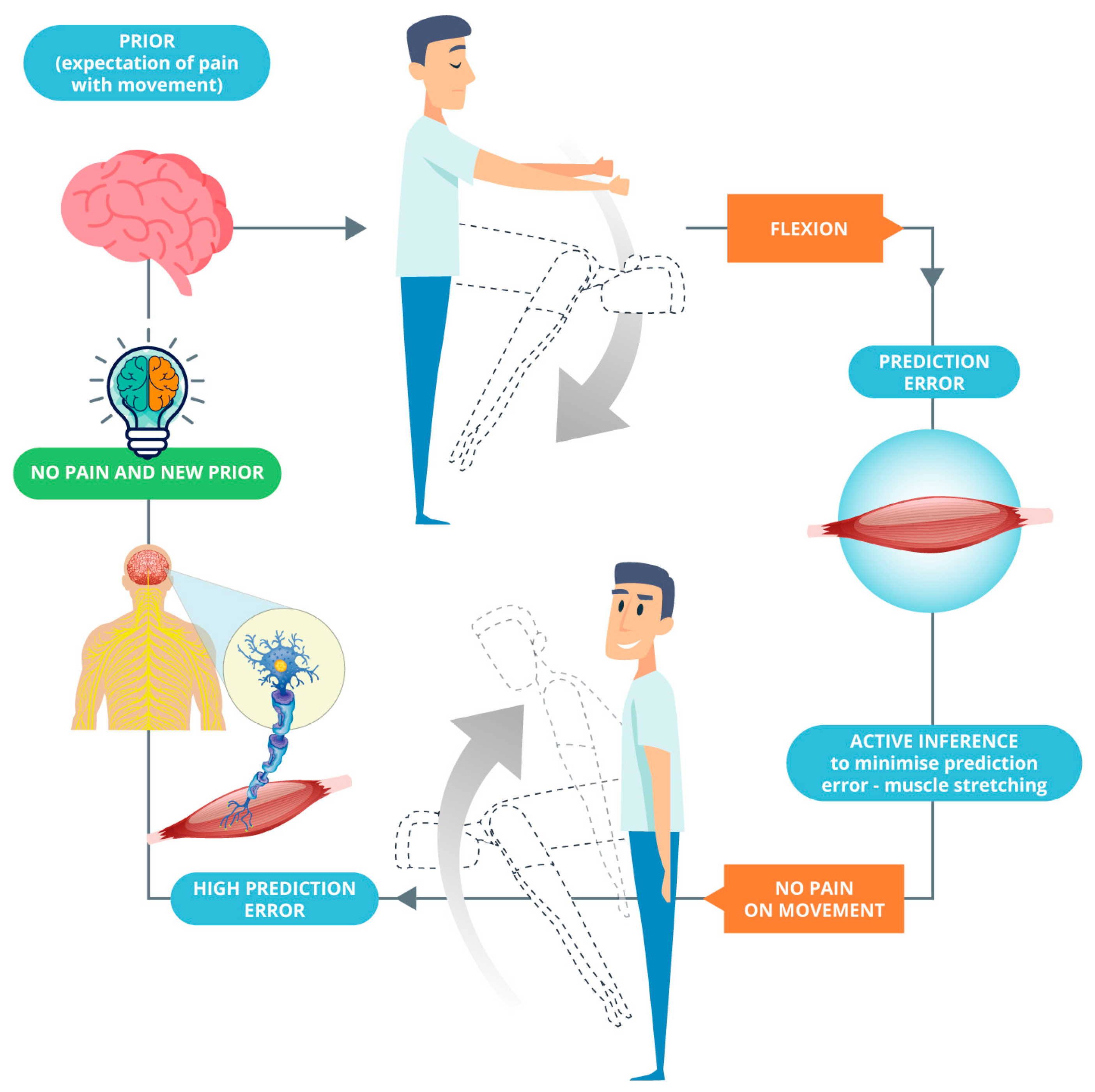 Teachings in the Science of Osteopathy: Sutherland, William