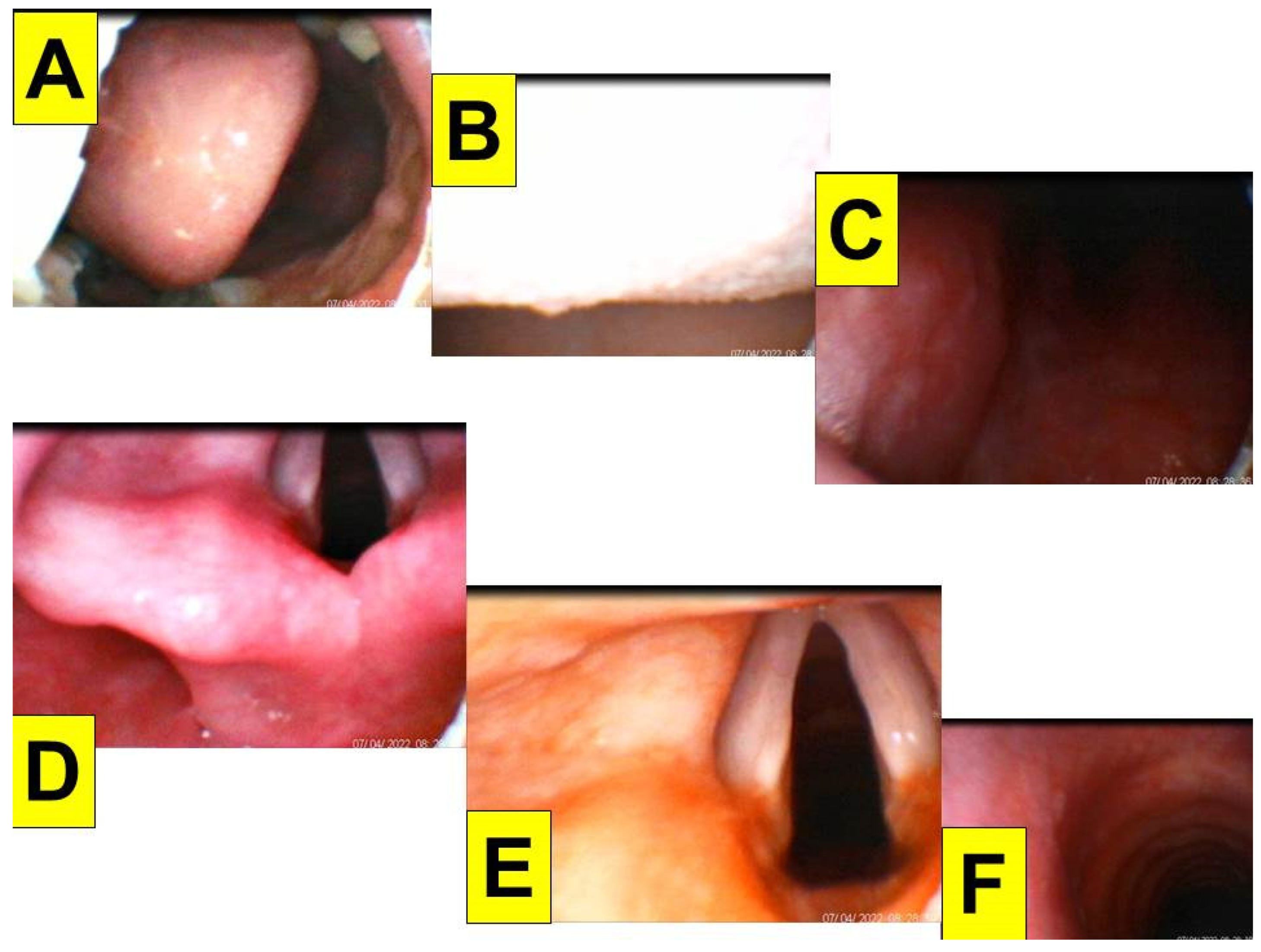 Healthcare 10 01105 g004 550