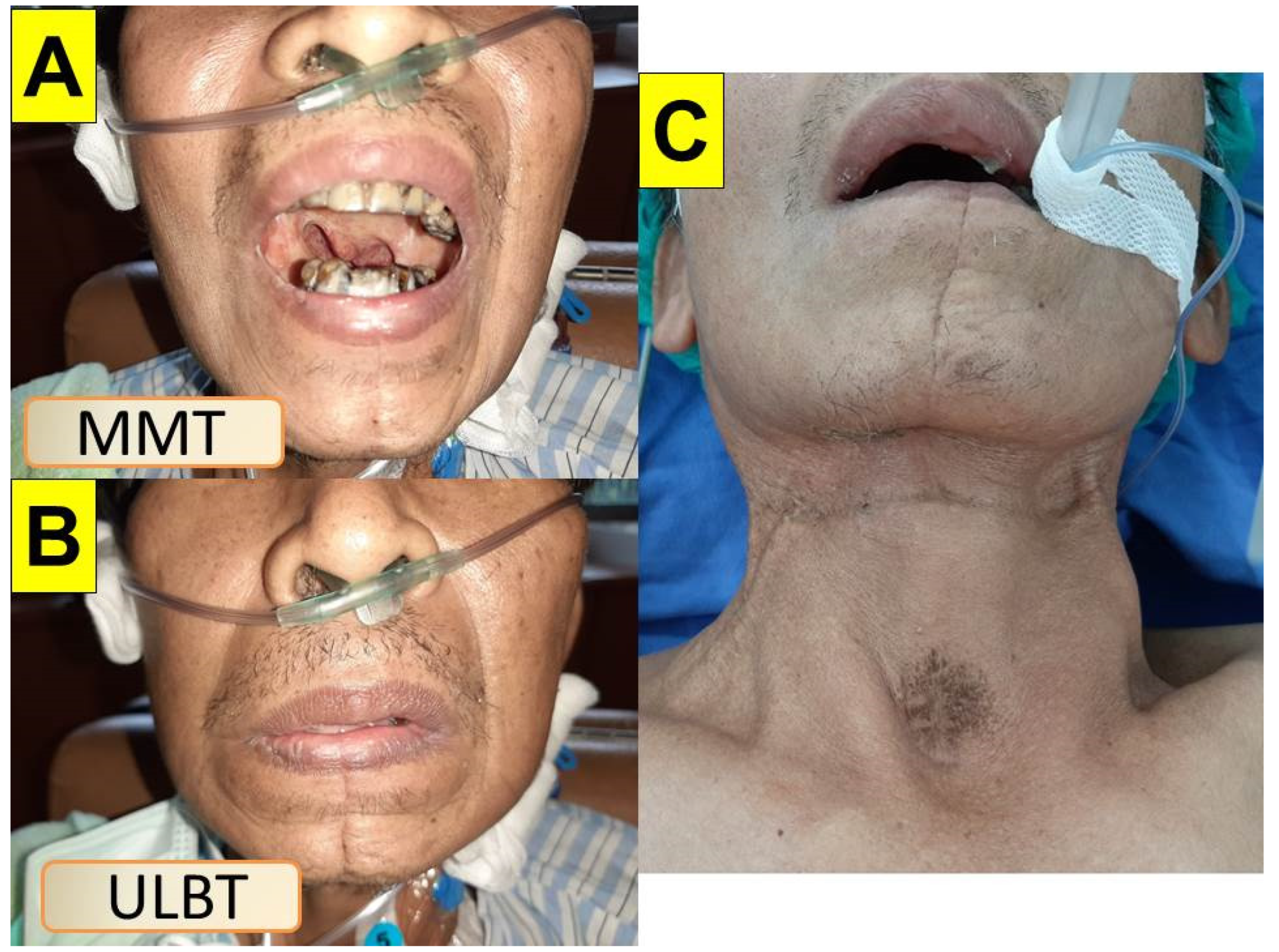 Healthcare 10 01105 g006 550