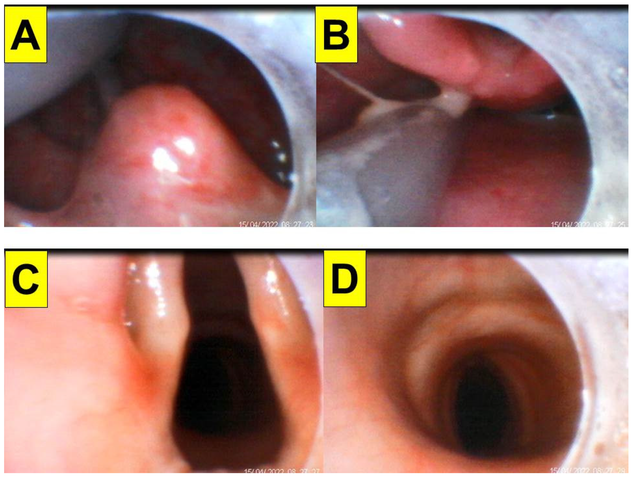 Healthcare 10 01105 g008 550
