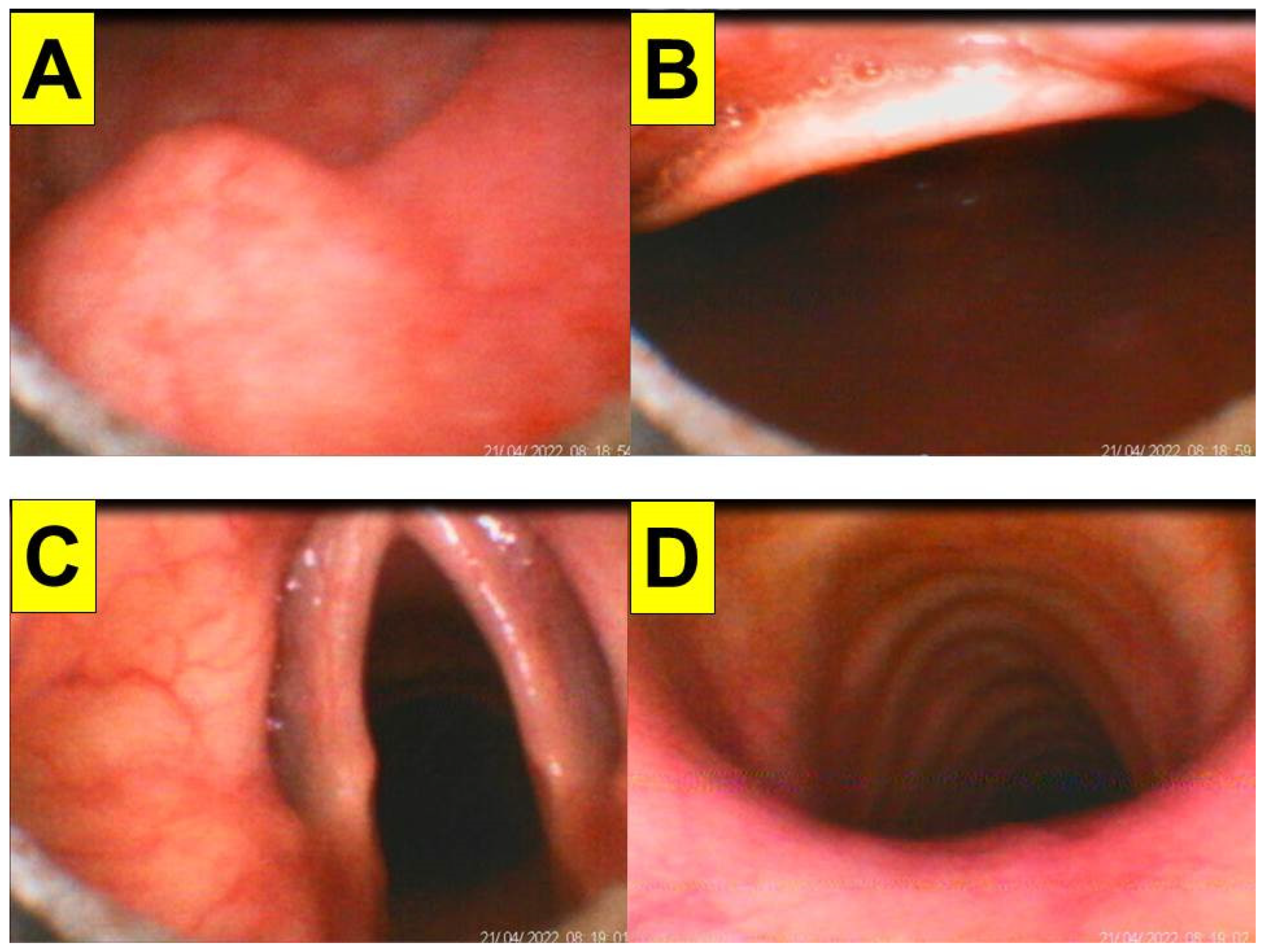 Healthcare 10 01105 g010 550