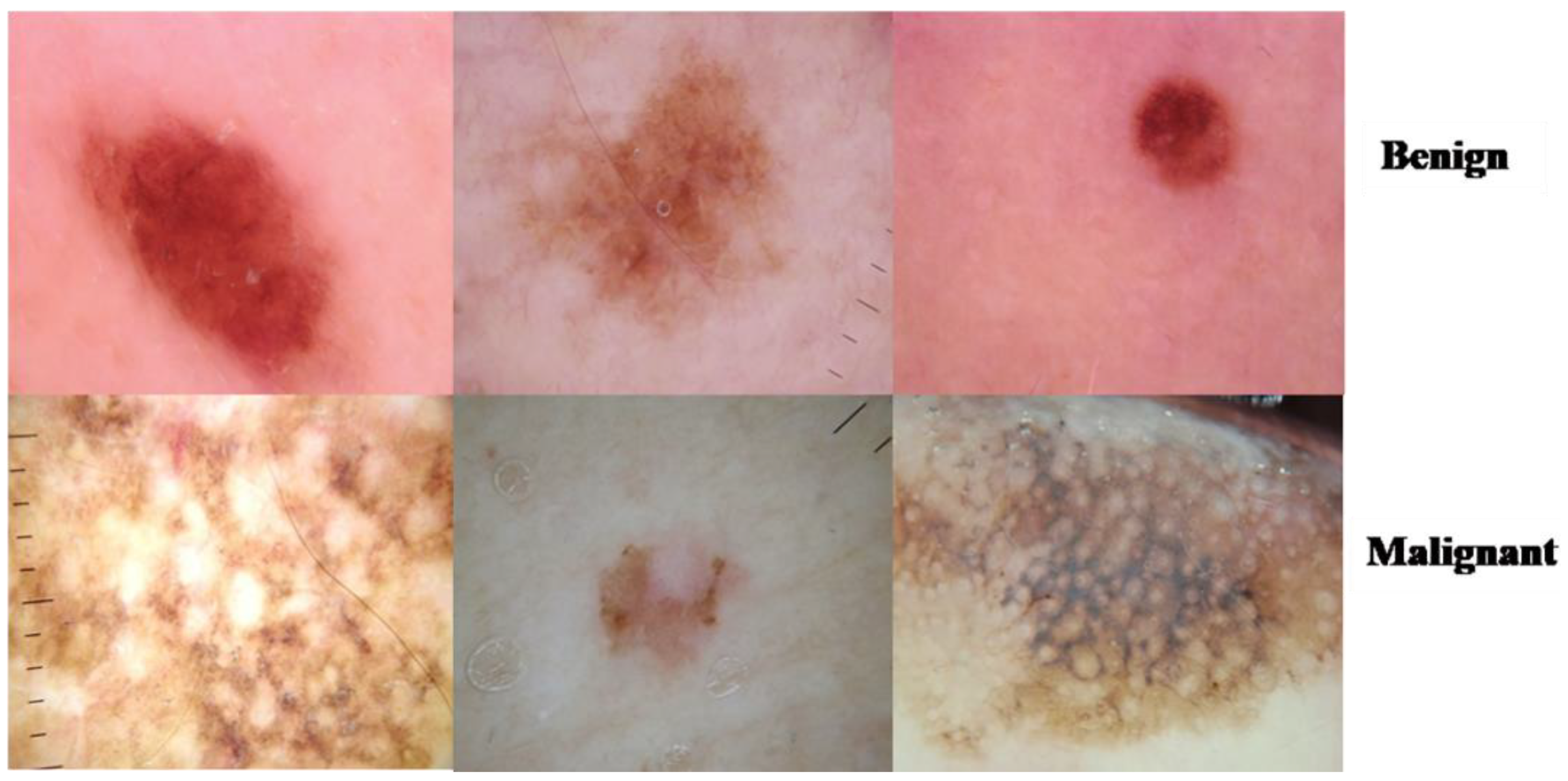 Healthcare 10 01183 g004