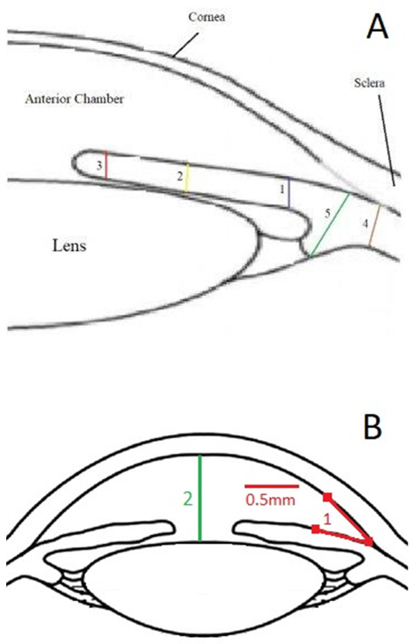 Healthcare 10 01188 g001 Healthcare 10 01188 g001