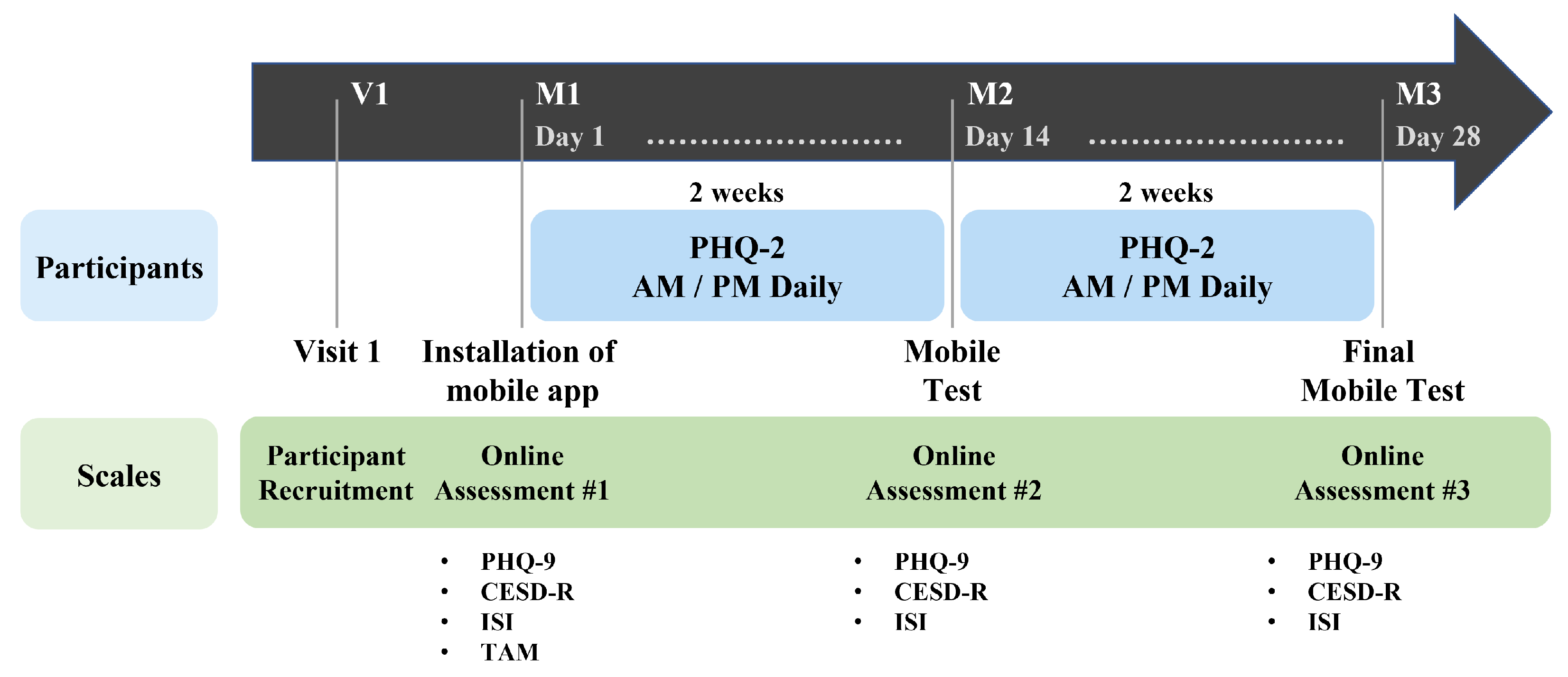 Healthcare 10 01189 g002