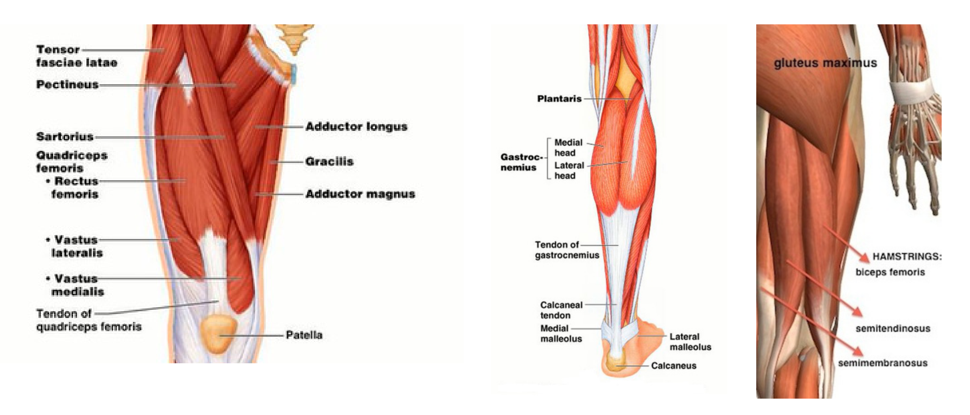 Healthcare 10 01291 g006 550