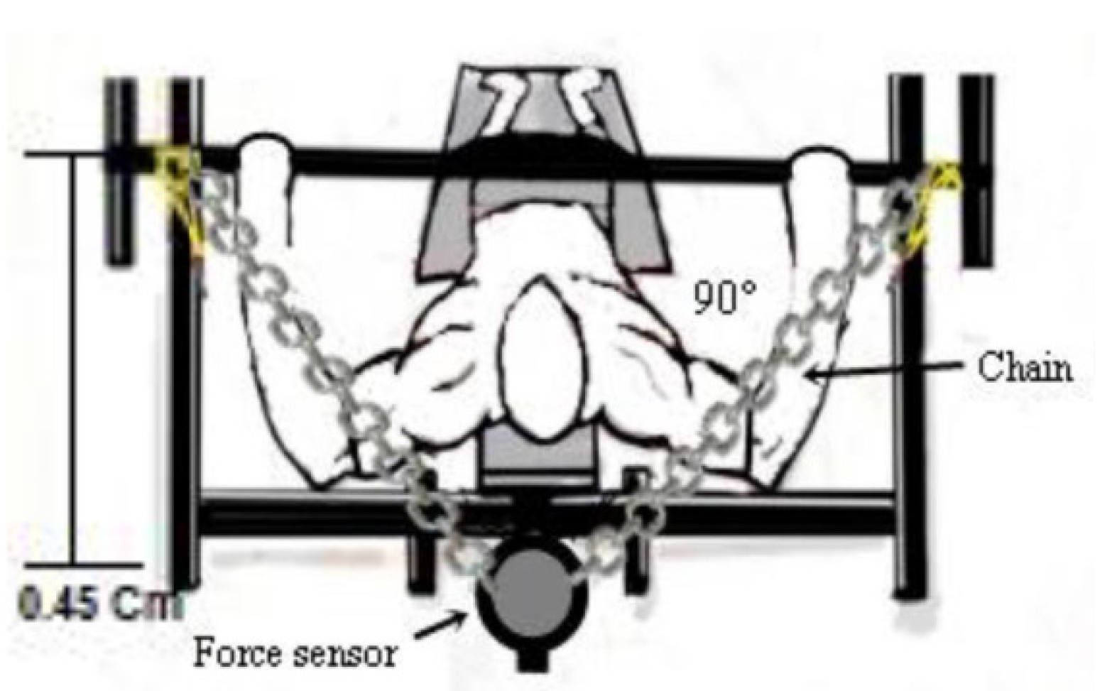 Healthcare 10 01331 g003 550