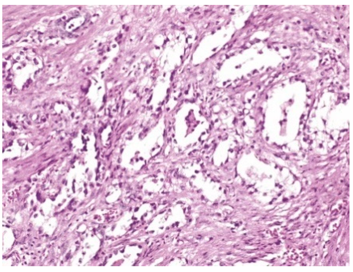 Healthcare 10 01410 g002 550