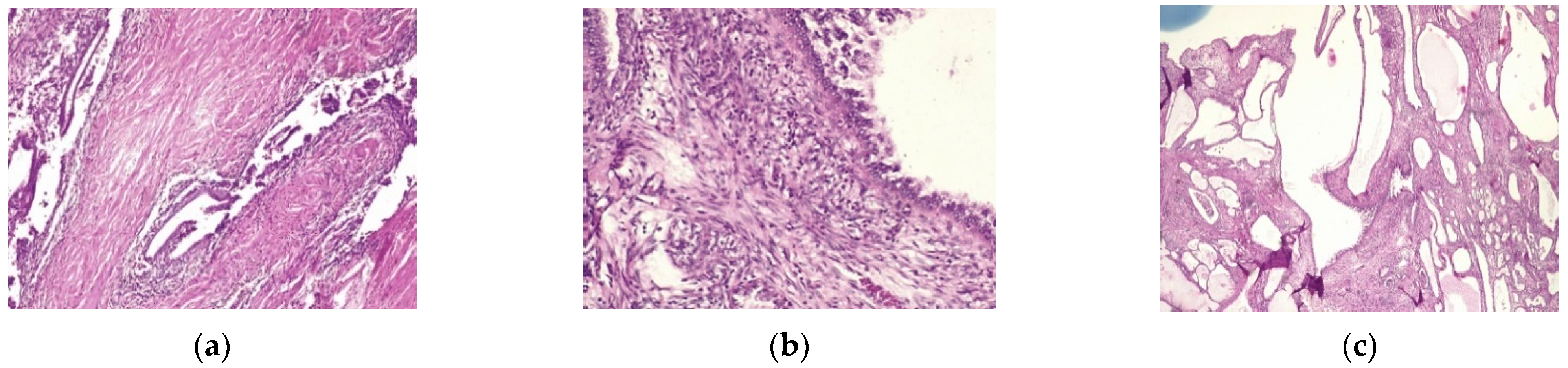 Healthcare 10 01410 g004 550