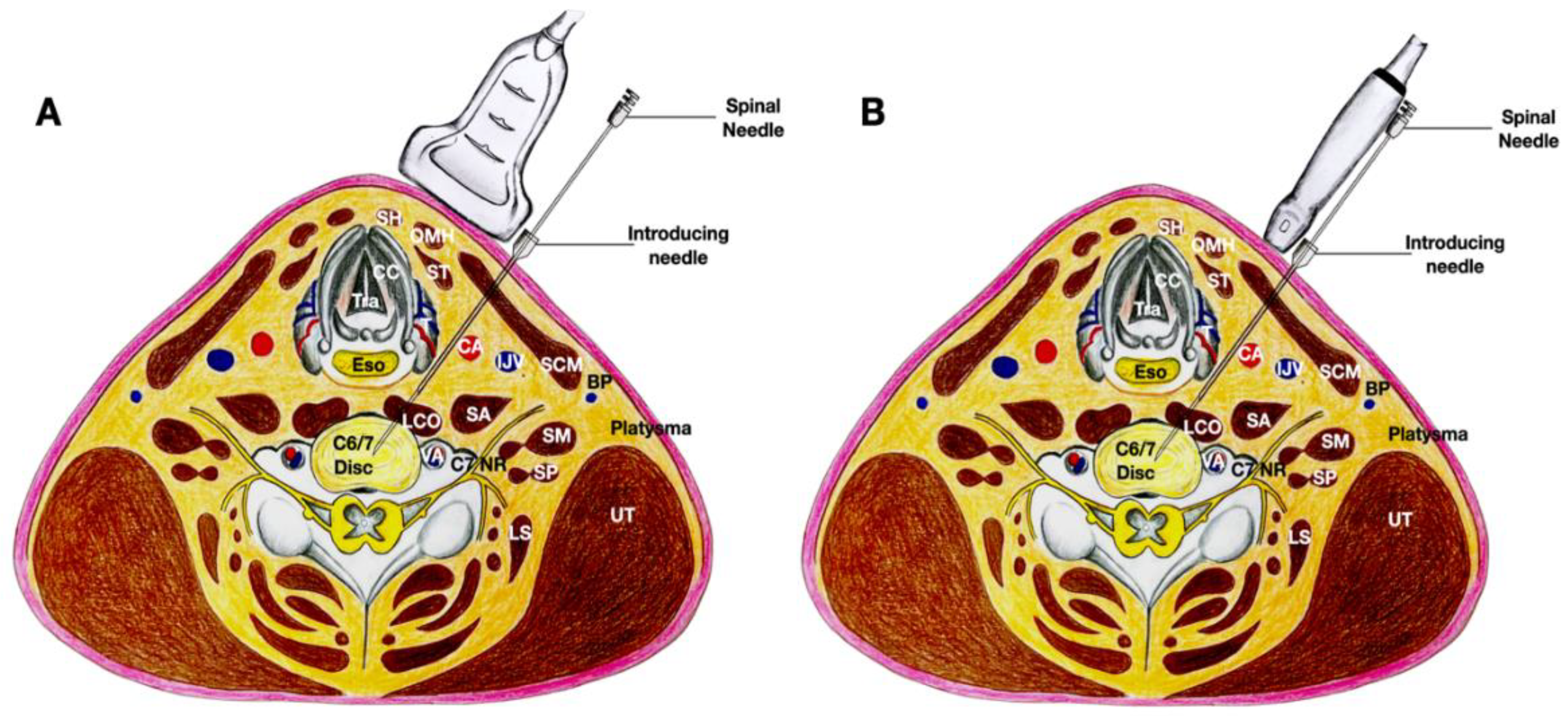Healthcare 10 01427 g005