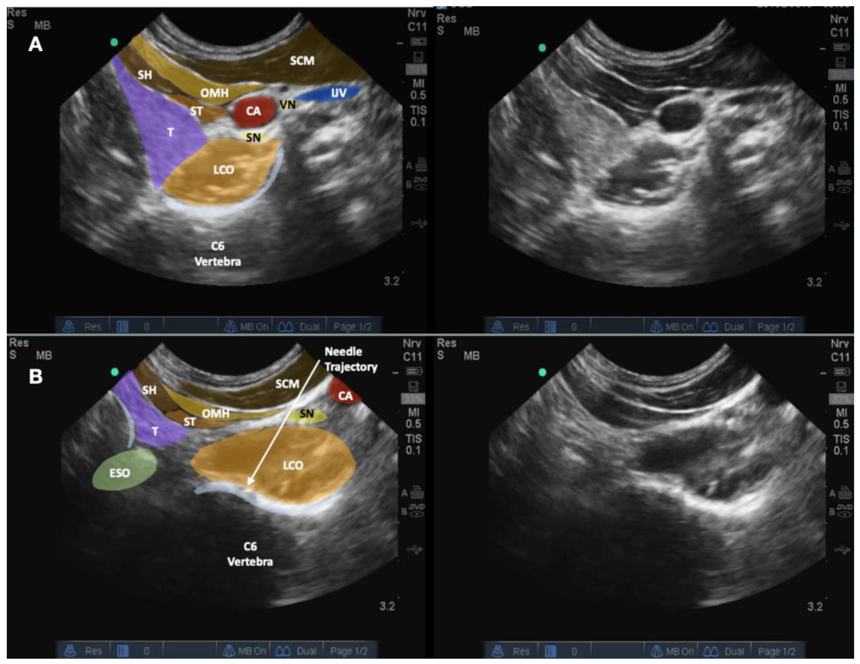 Healthcare 10 01427 g006