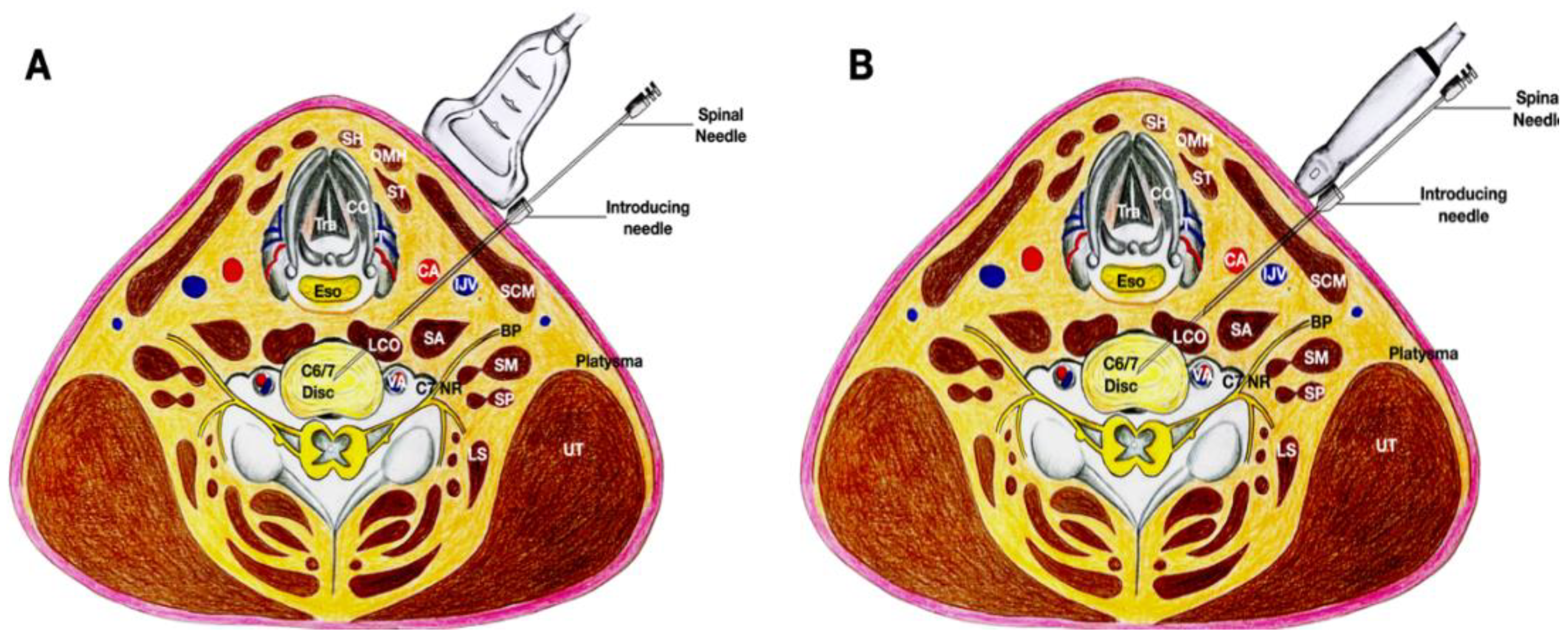 Healthcare 10 01427 g007