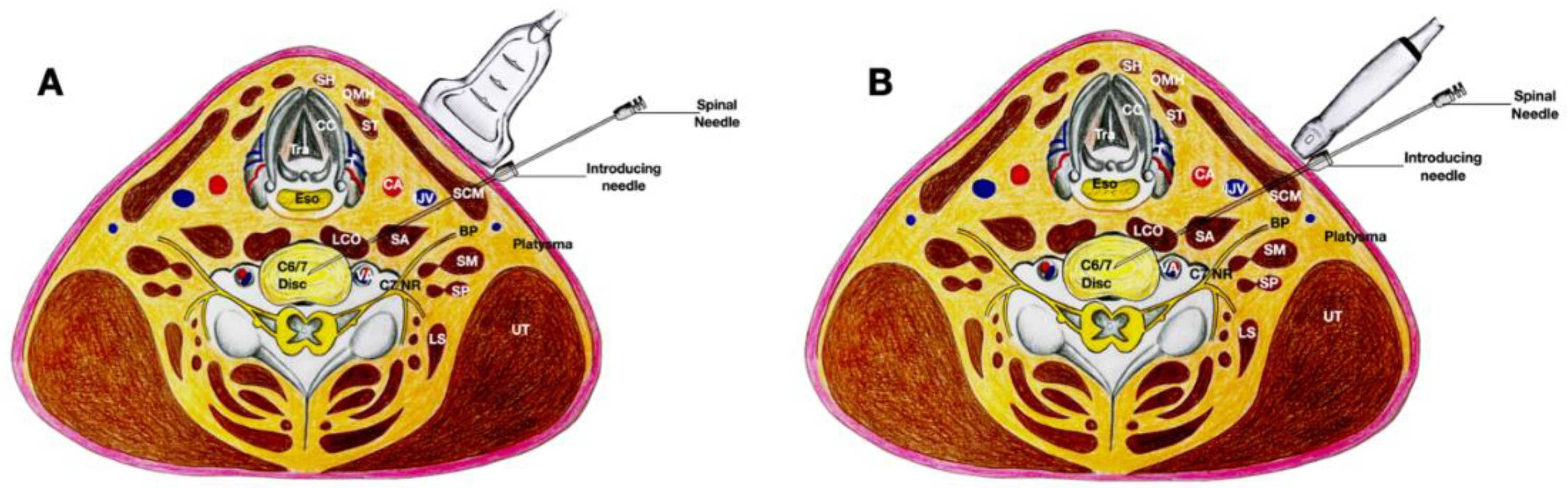 Healthcare 10 01427 g008