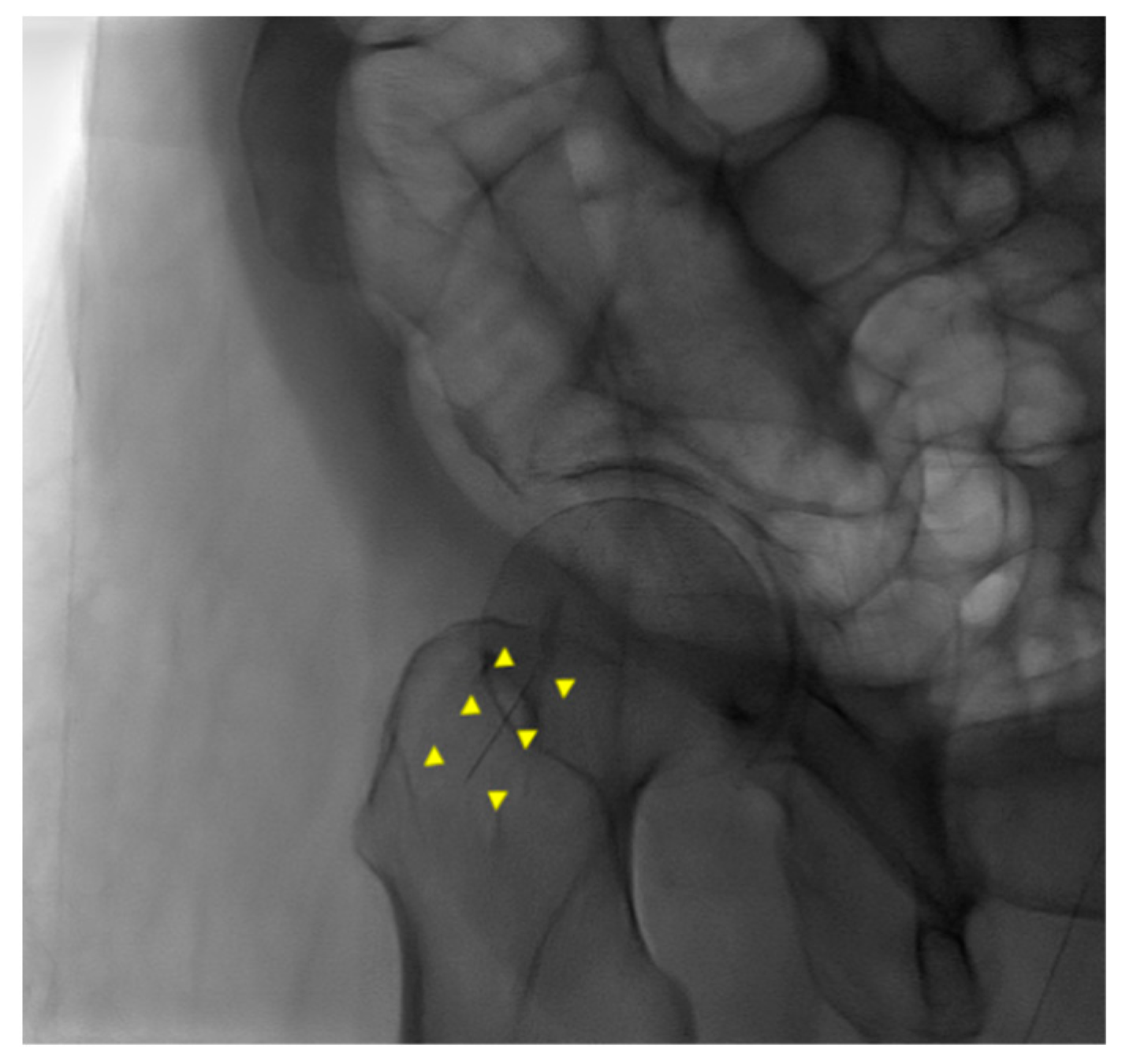 Healthcare 10 01436 g002 550