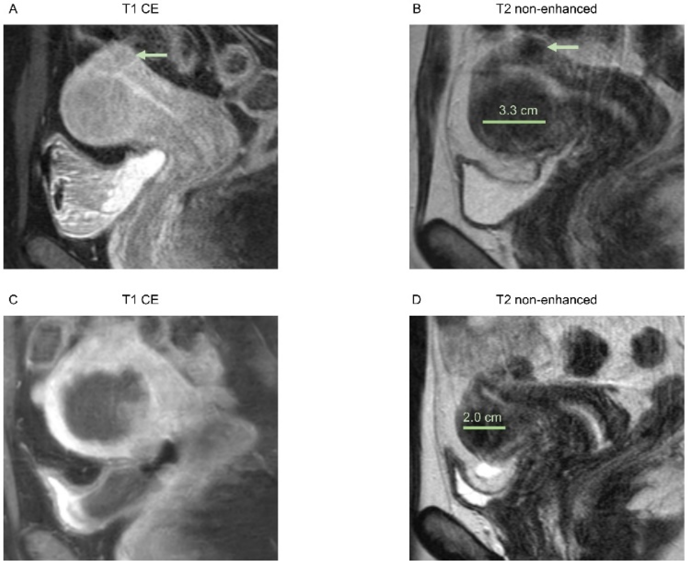 Healthcare 10 01471 g002 550