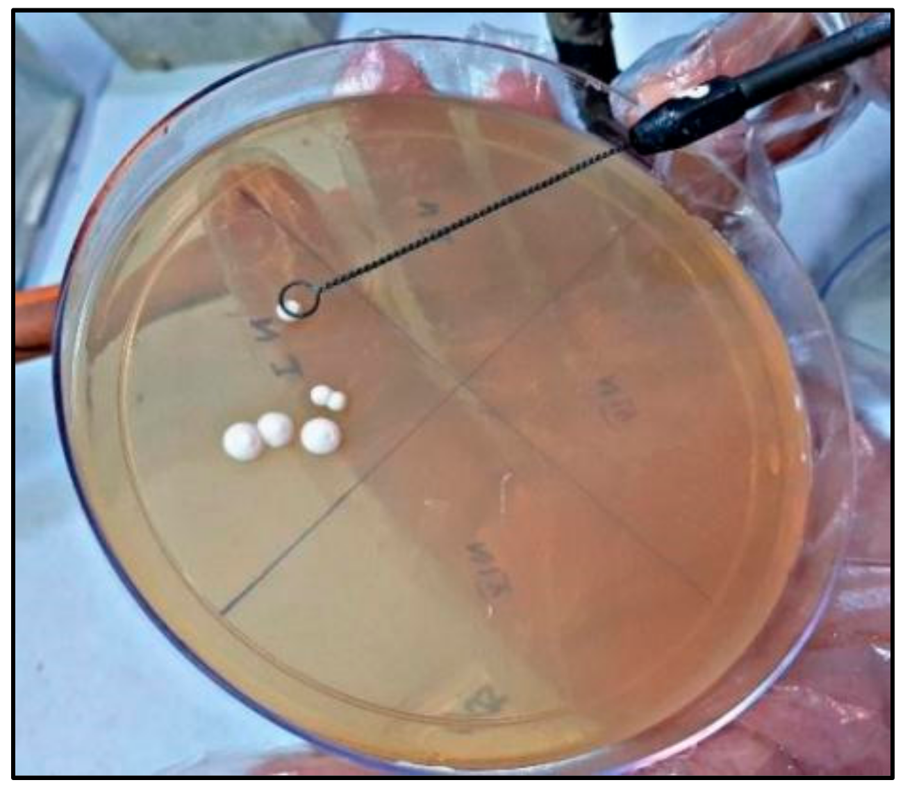 Healthcare 10 01507 g011 550