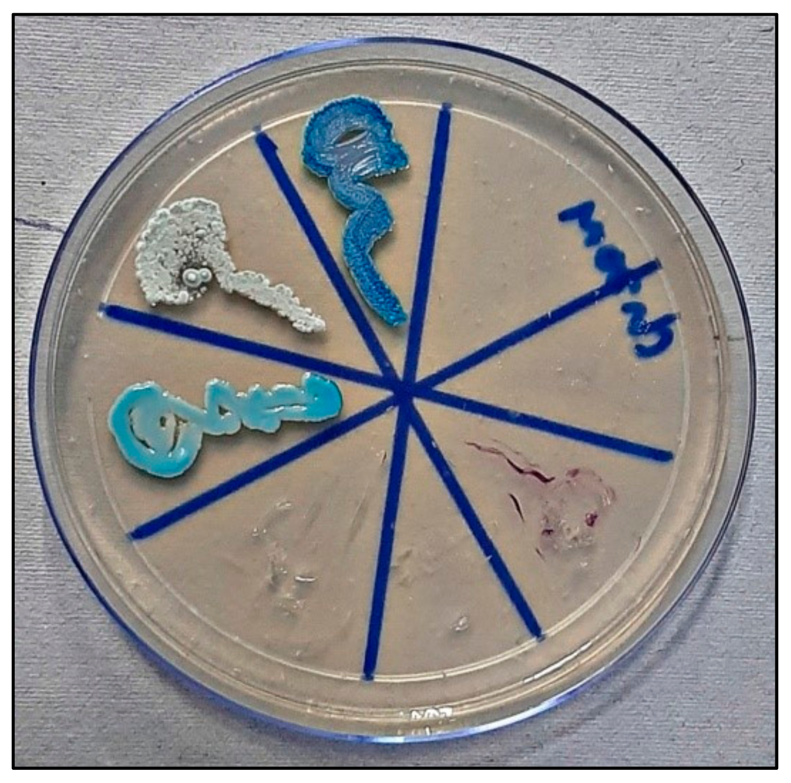 Healthcare 10 01507 g015 550