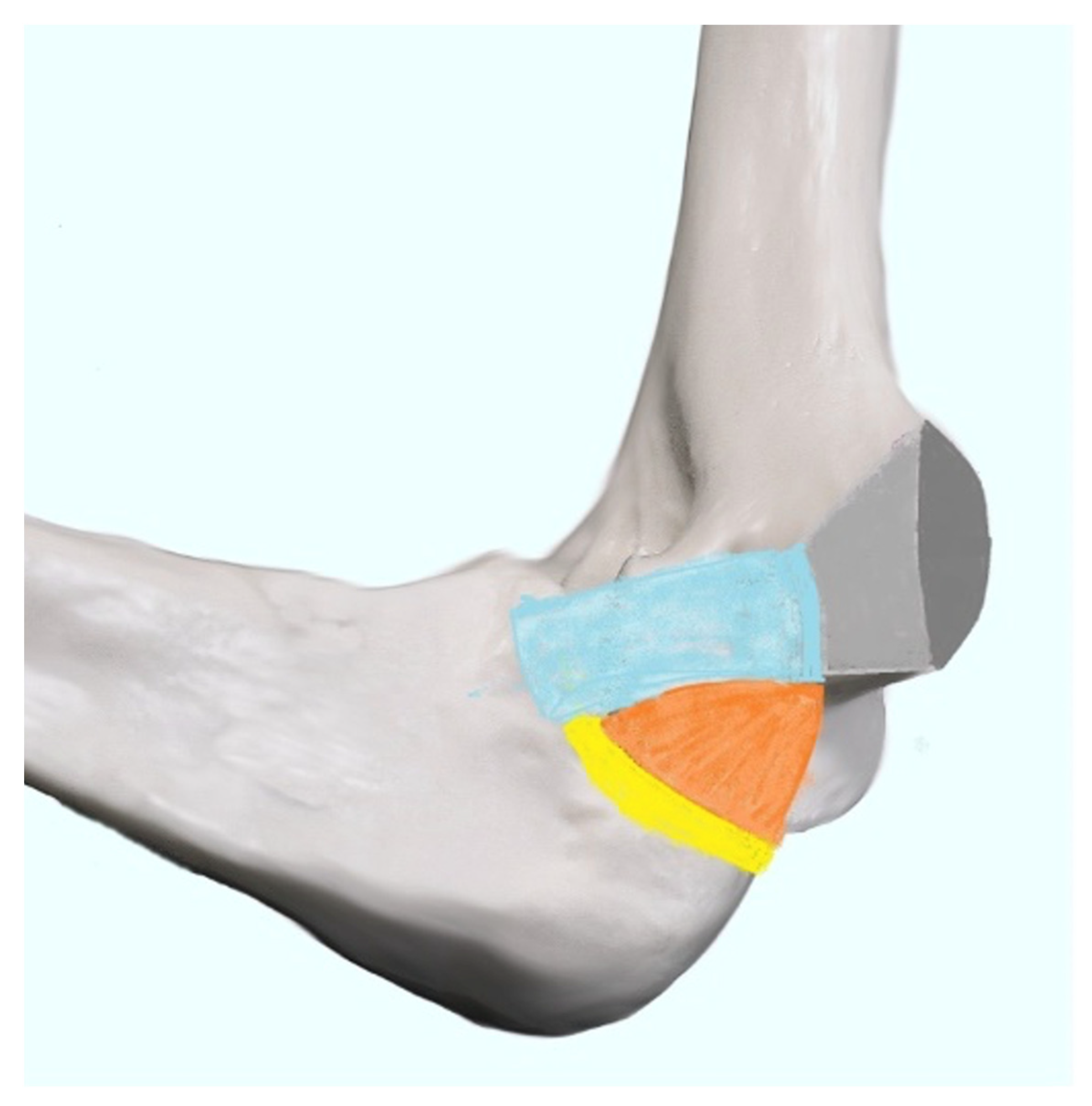 Healthcare 10 01529 g002