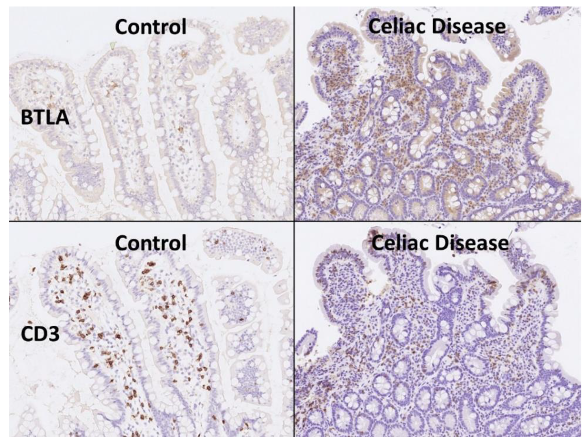 Healthcare 10 01550 g006 Healthcare 10 01550 g006