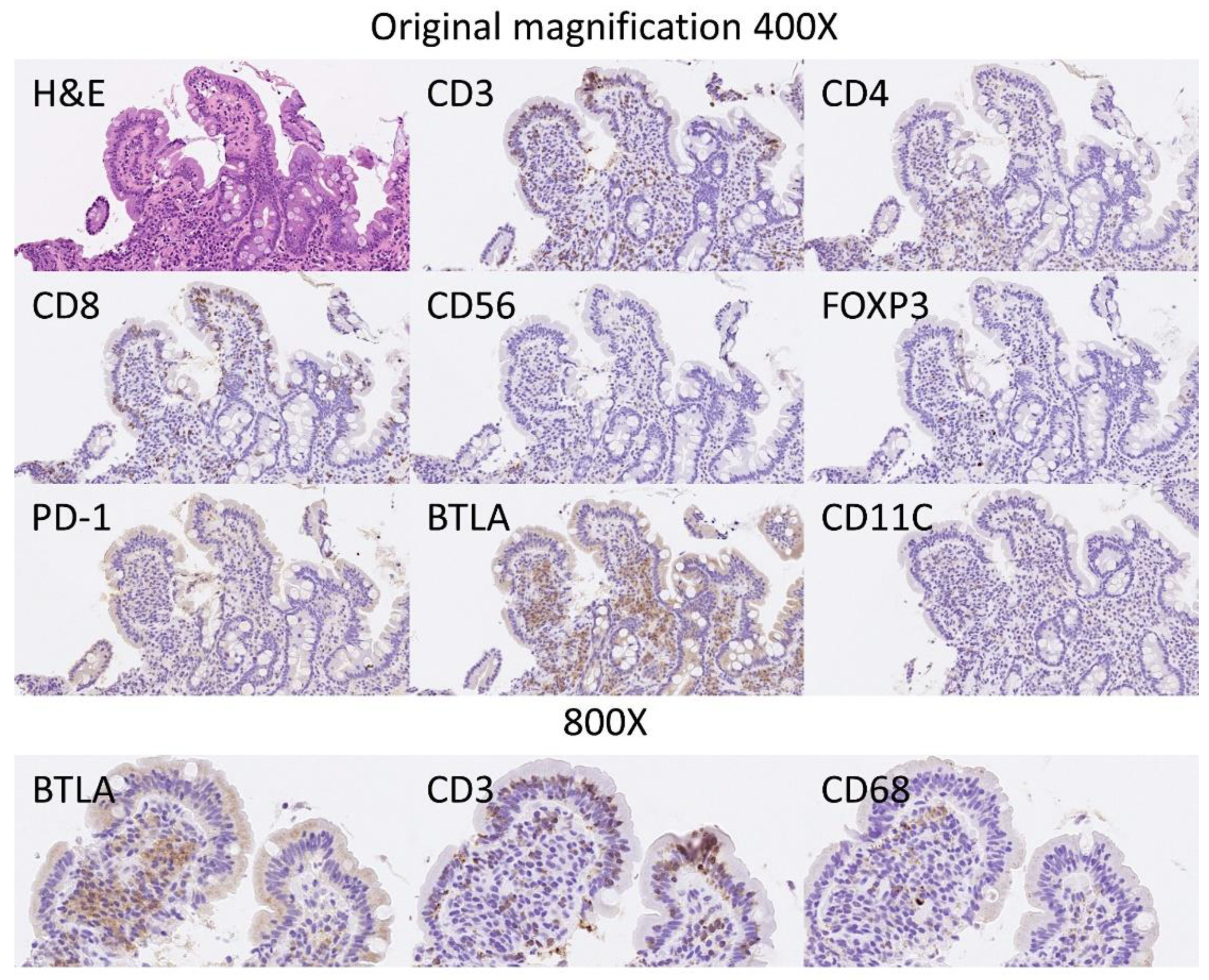 Healthcare 10 01550 g008 Healthcare 10 01550 g008