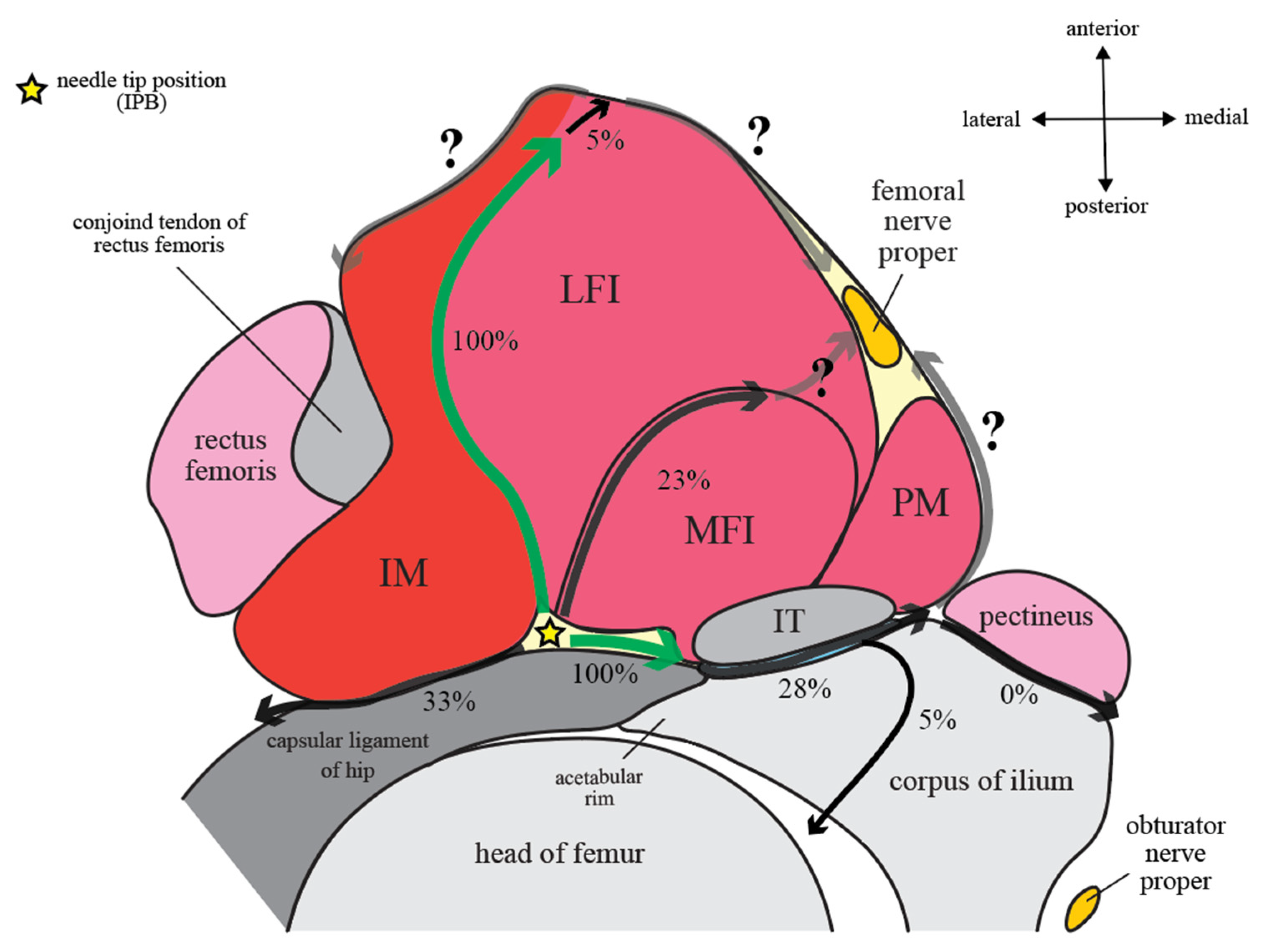 Healthcare 10 01565 g004 550