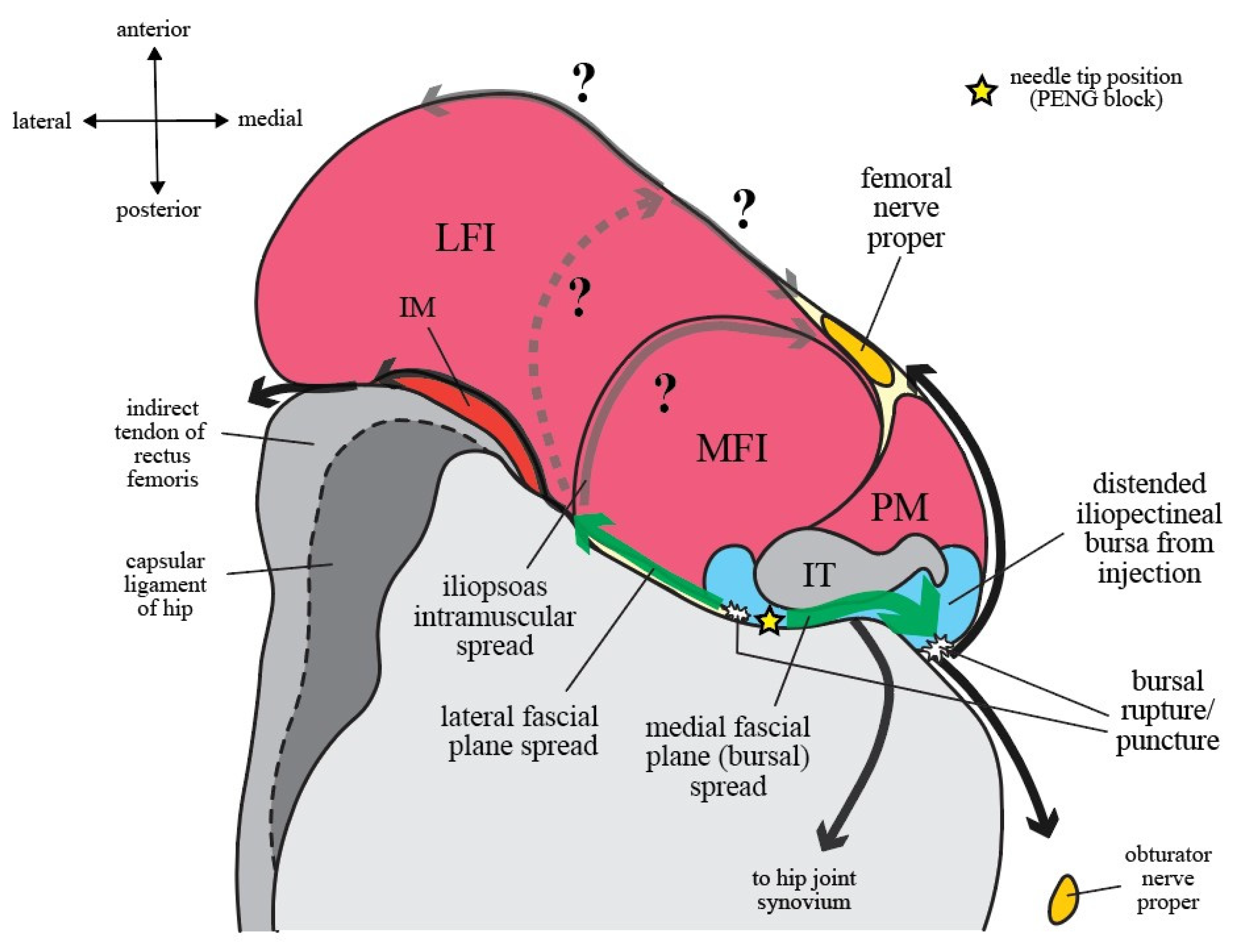 Healthcare 10 01565 g007 550