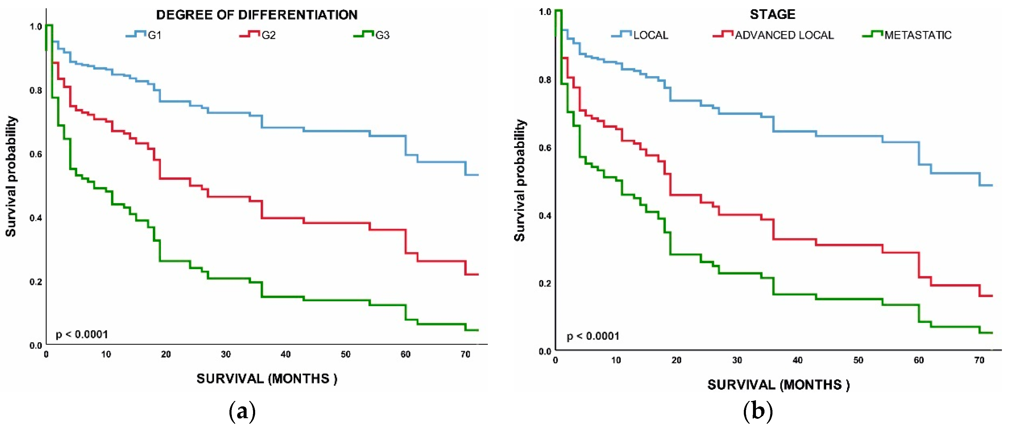 Healthcare 10 01569 g005 550