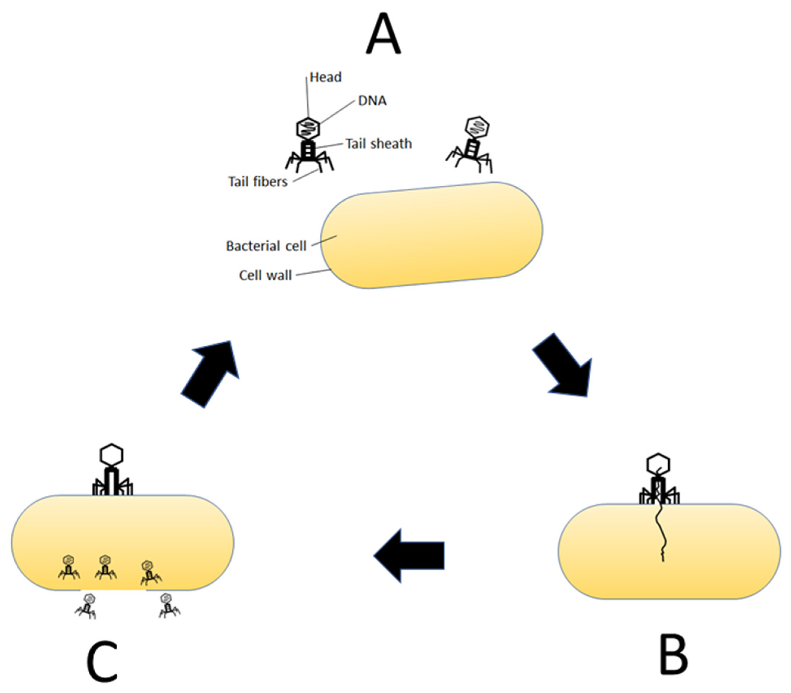 Healthcare 10 01626 g001 Healthcare 10 01626 g001