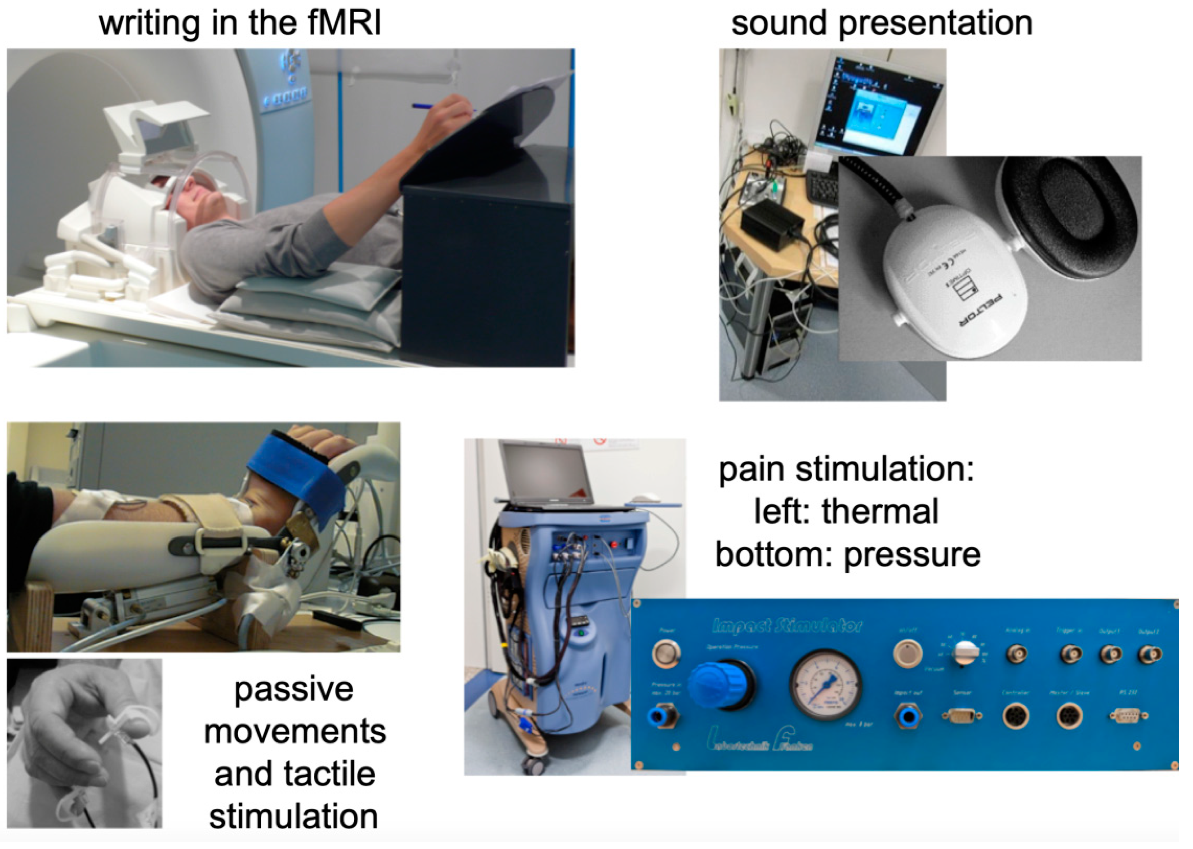 Healthcare 10 01646 g001 550