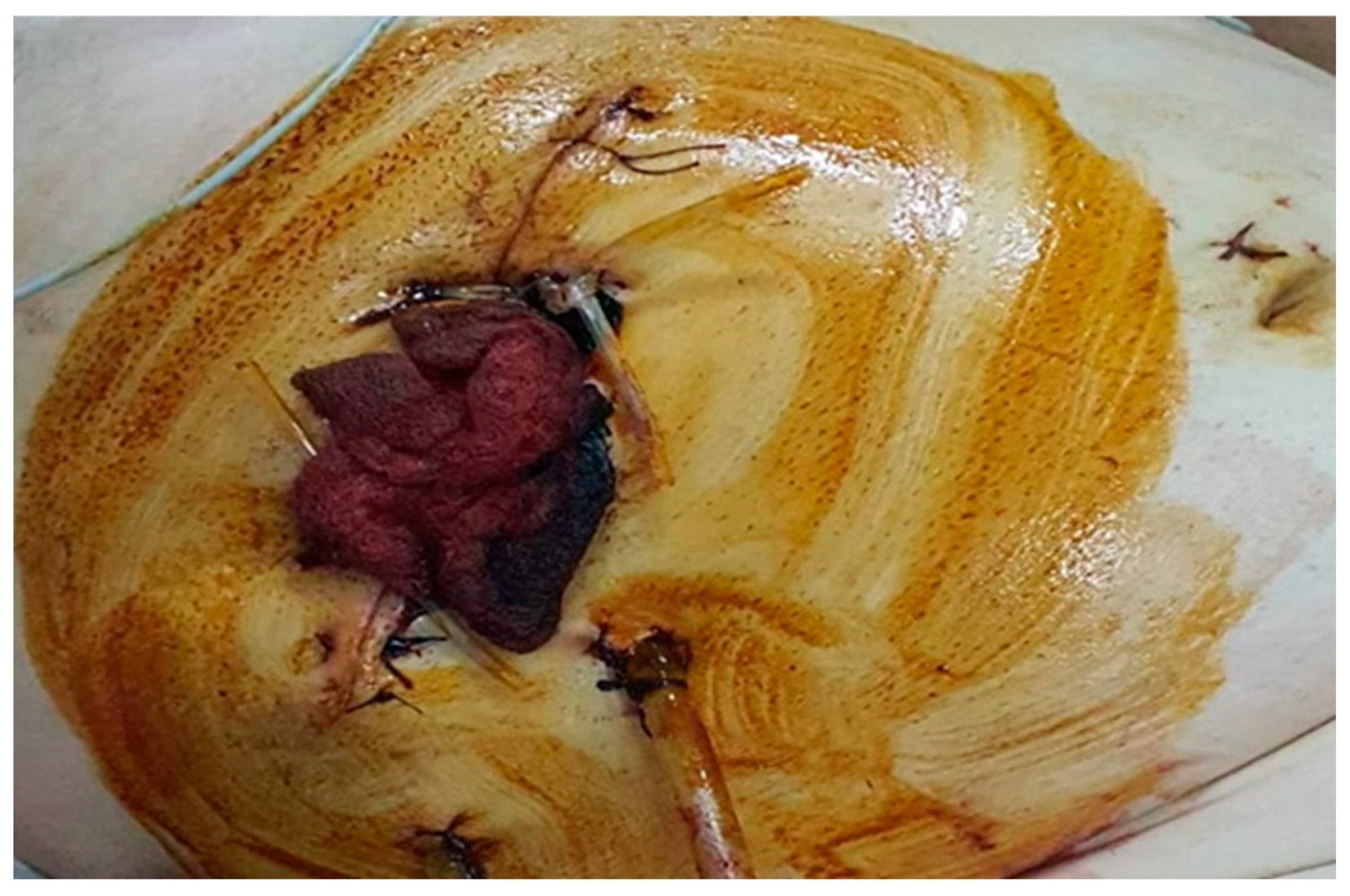 Healthcare 10 01652 g002