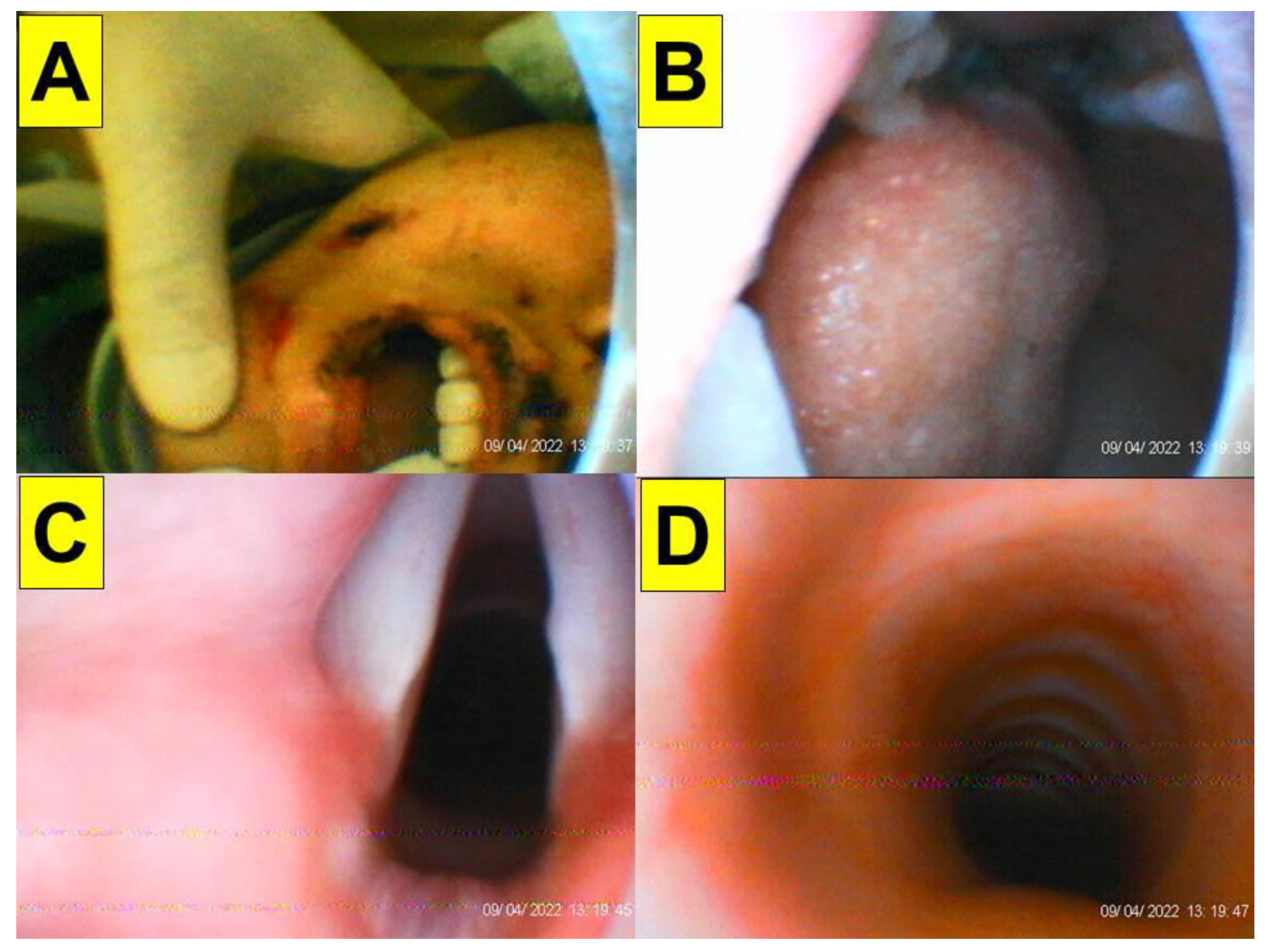 Healthcare 10 01688 g003