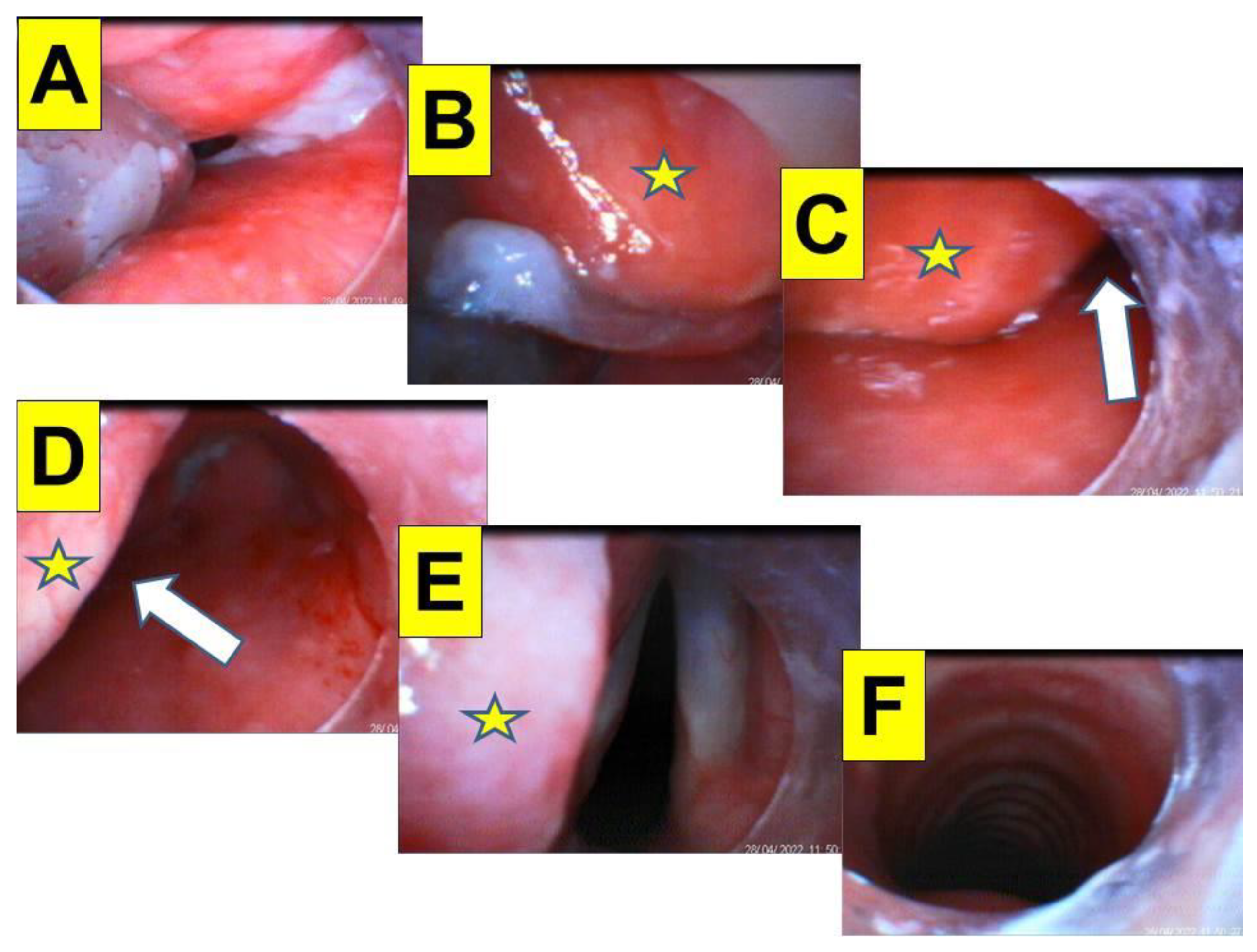 Healthcare 10 01688 g005