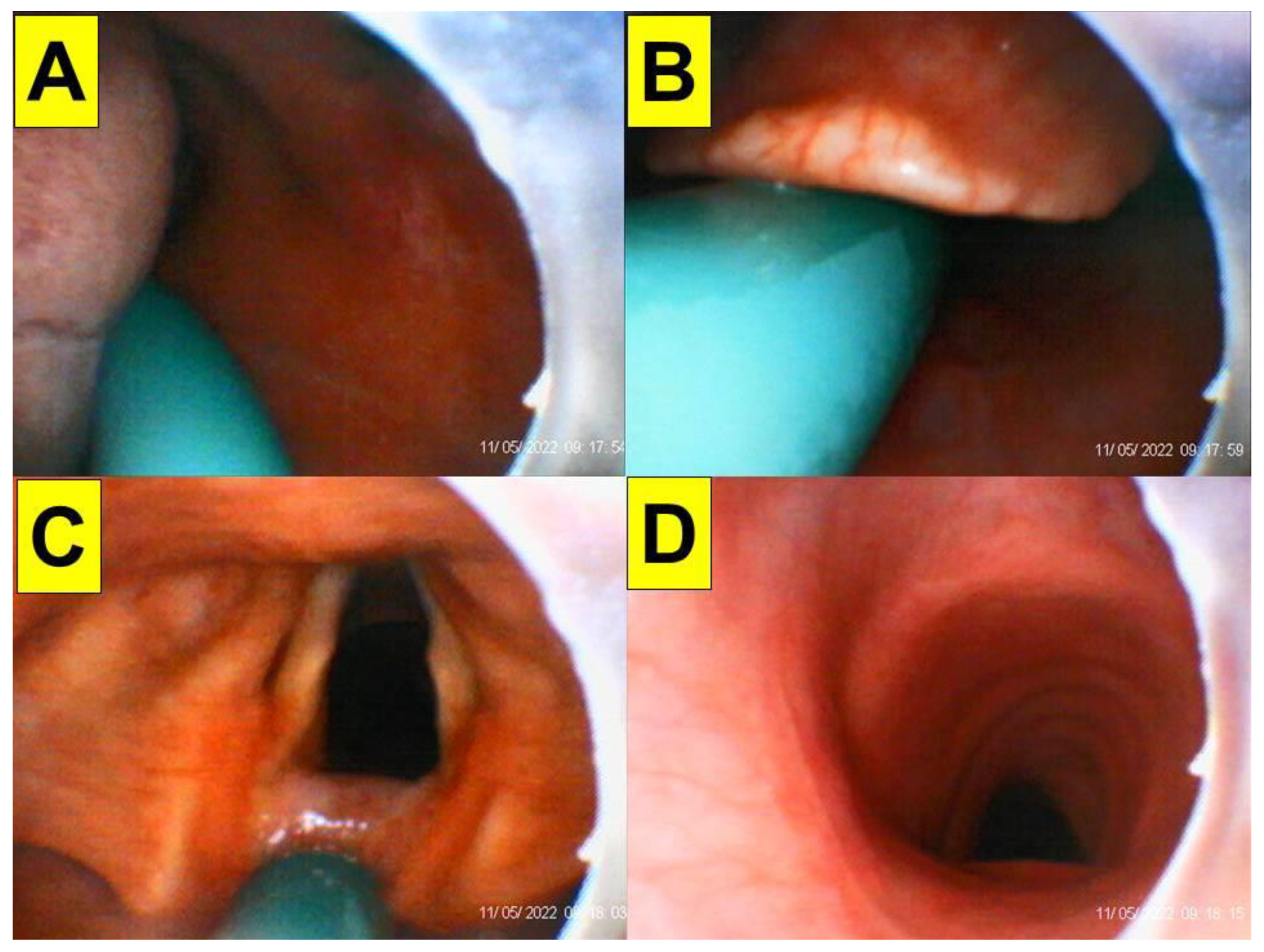 Healthcare 10 01688 g007