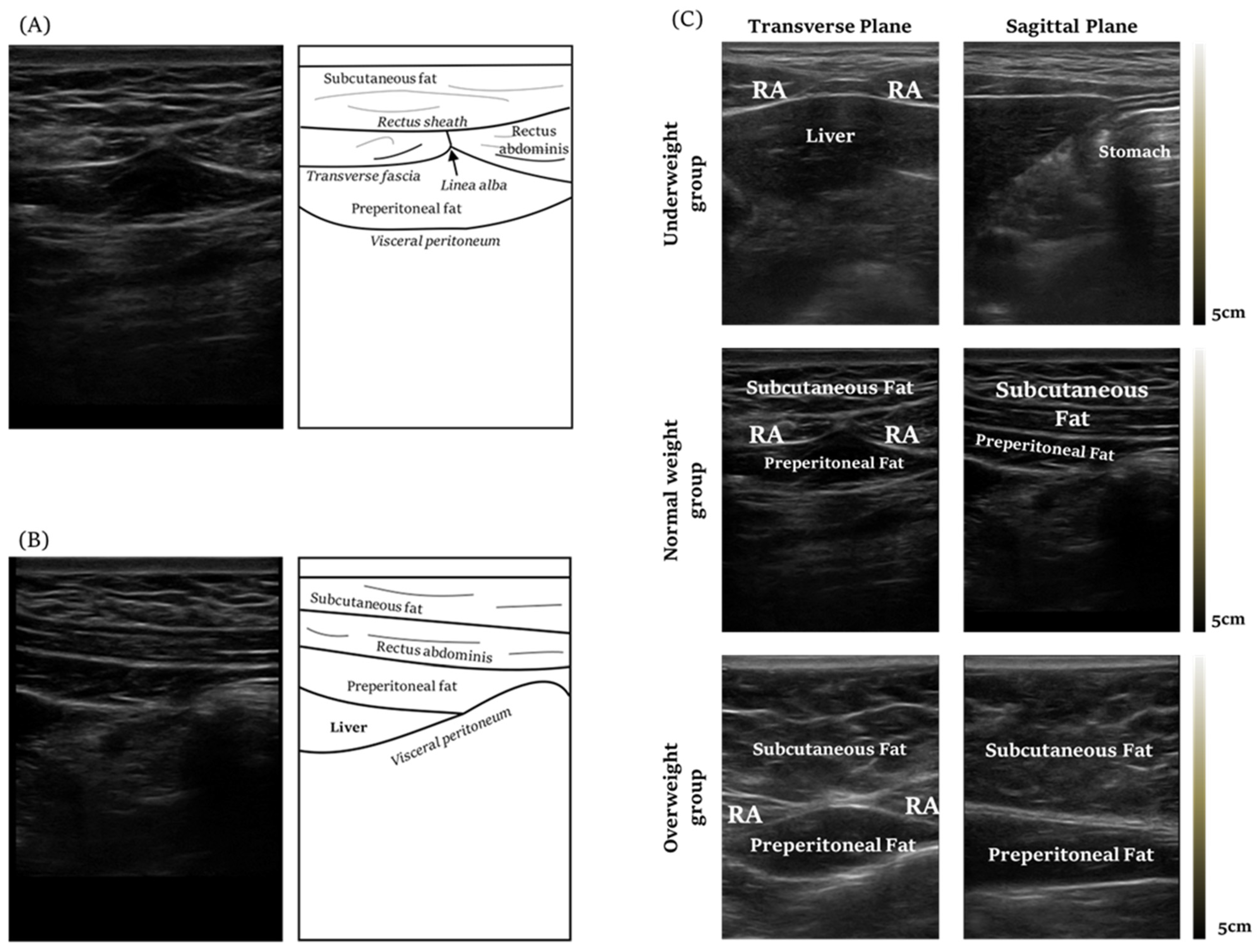 Healthcare 10 01707 g003 550