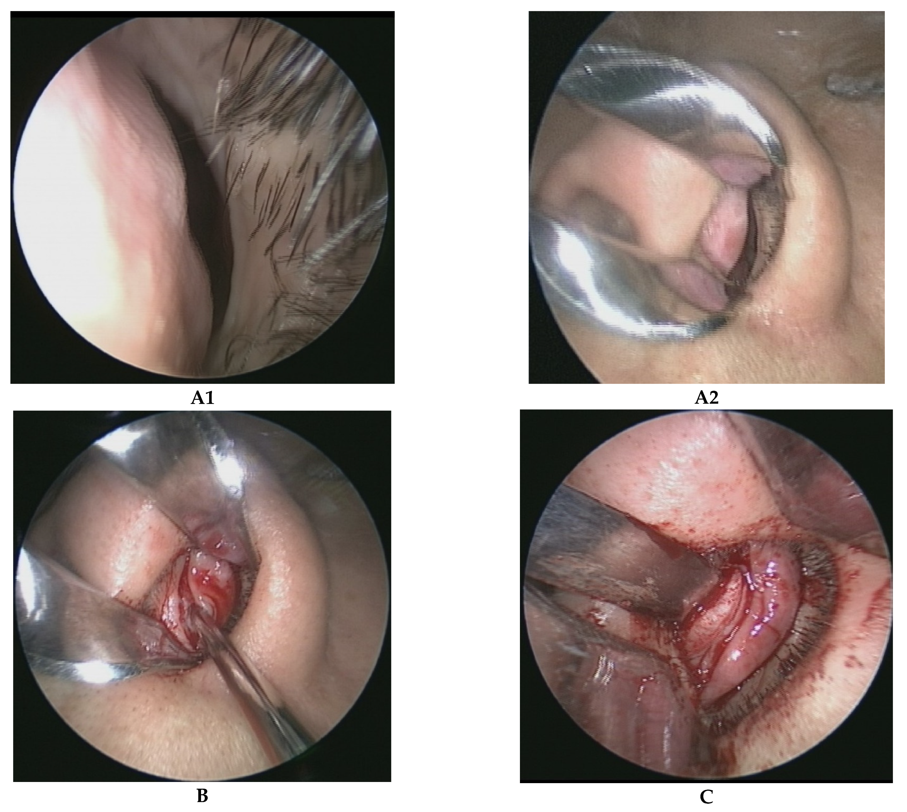 Healthcare 10 01739 g001a 550