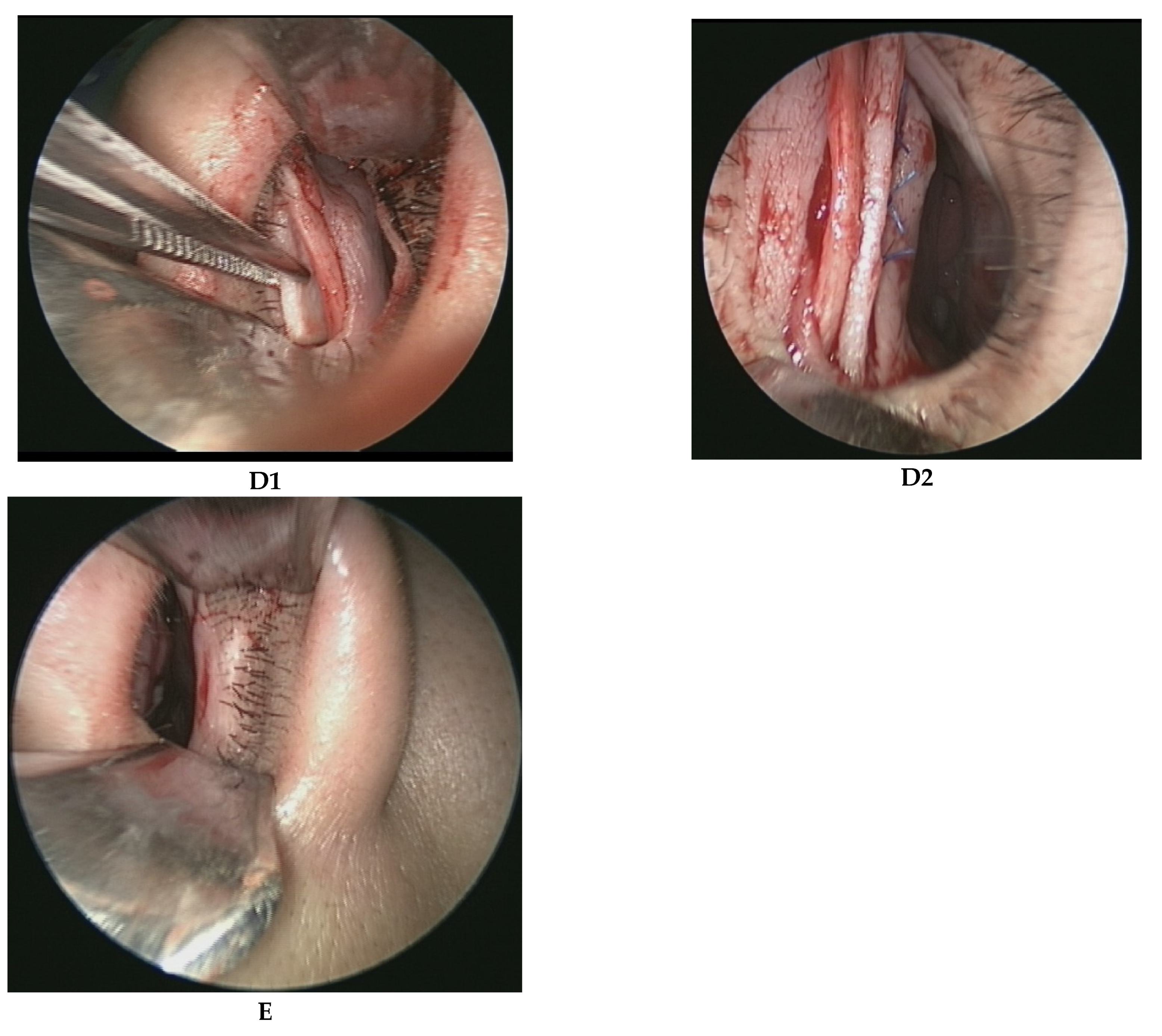 Healthcare 10 01739 g001b 550