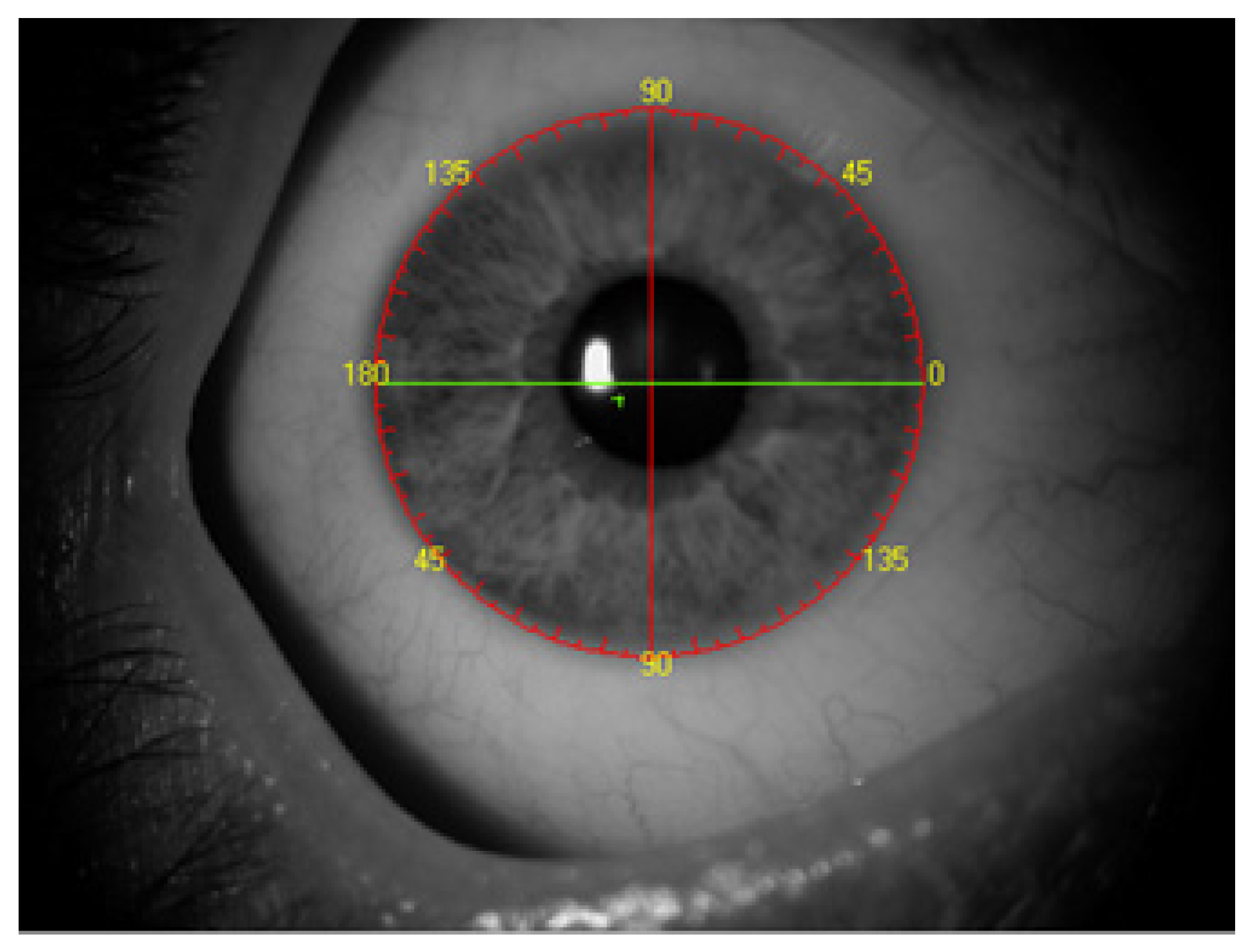 Healthcare 10 01773 g001 550