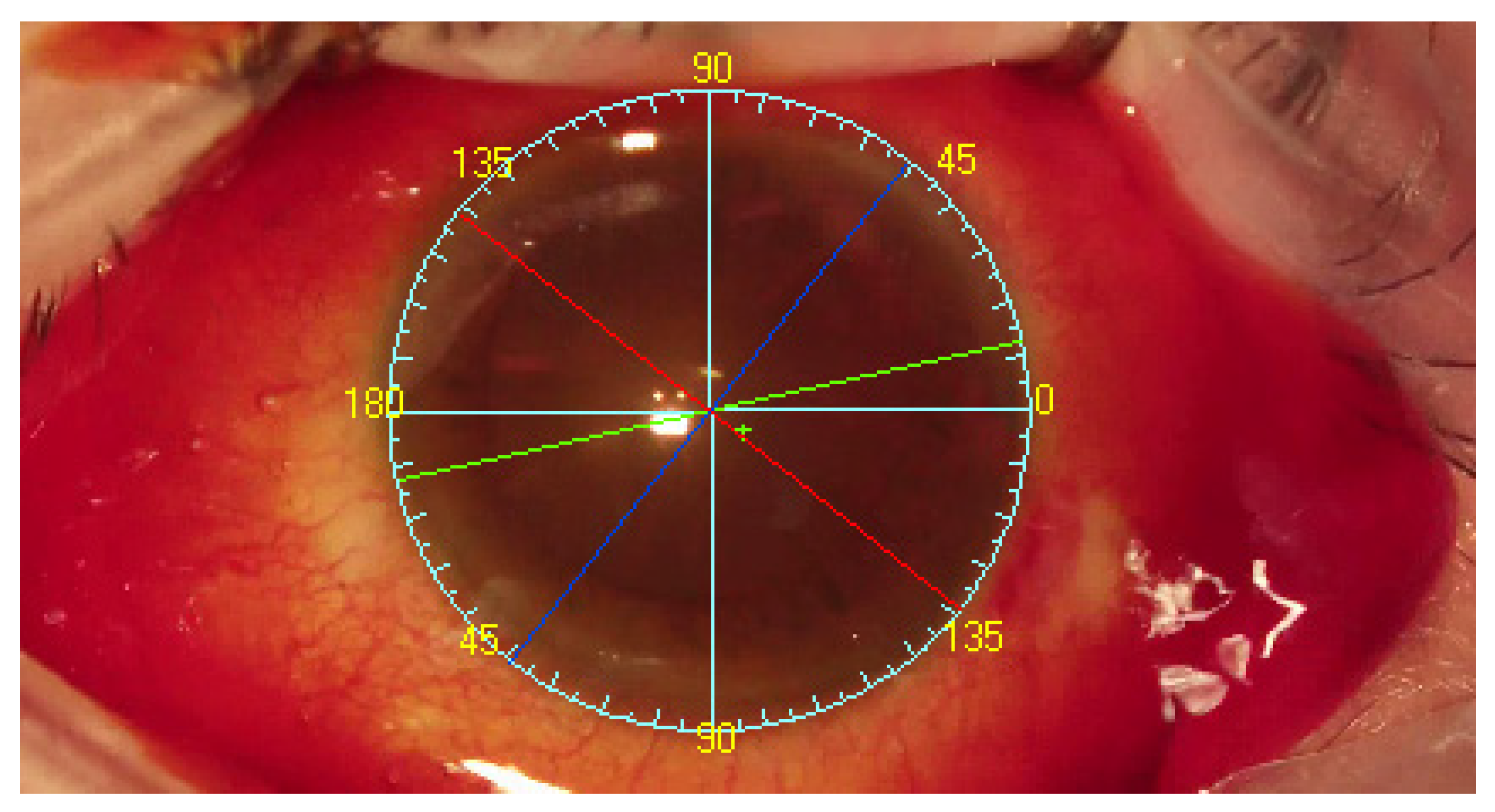 Healthcare 10 01773 g005 550